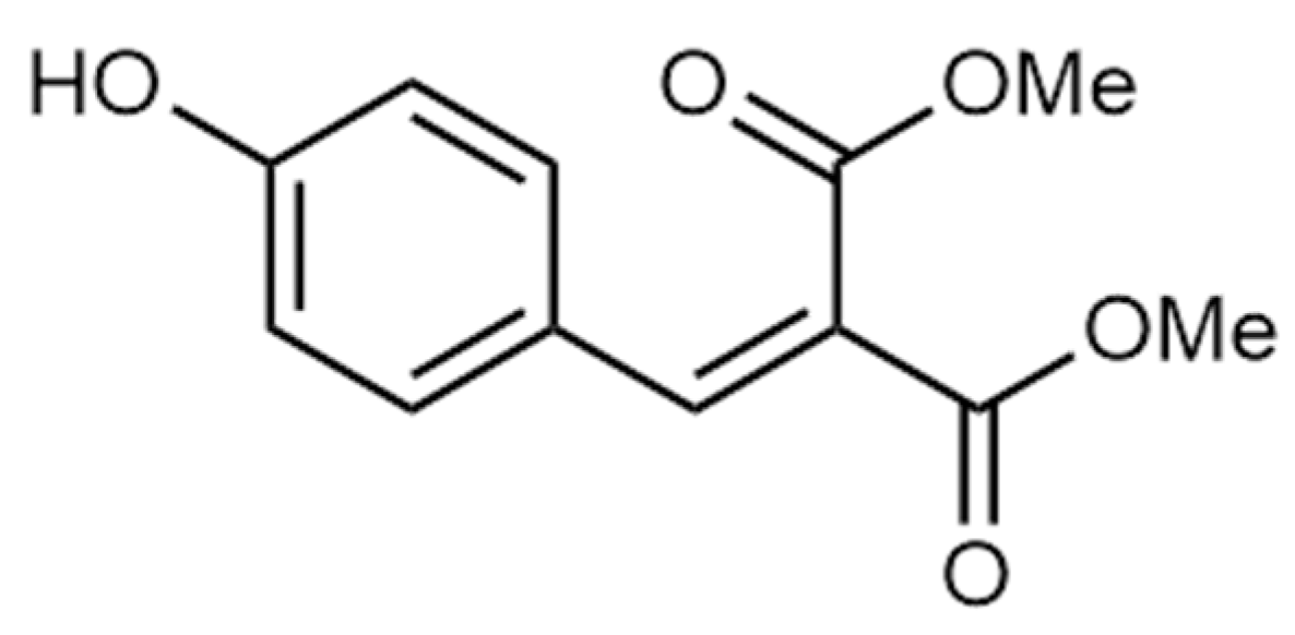 Polymers 16 03439 g001