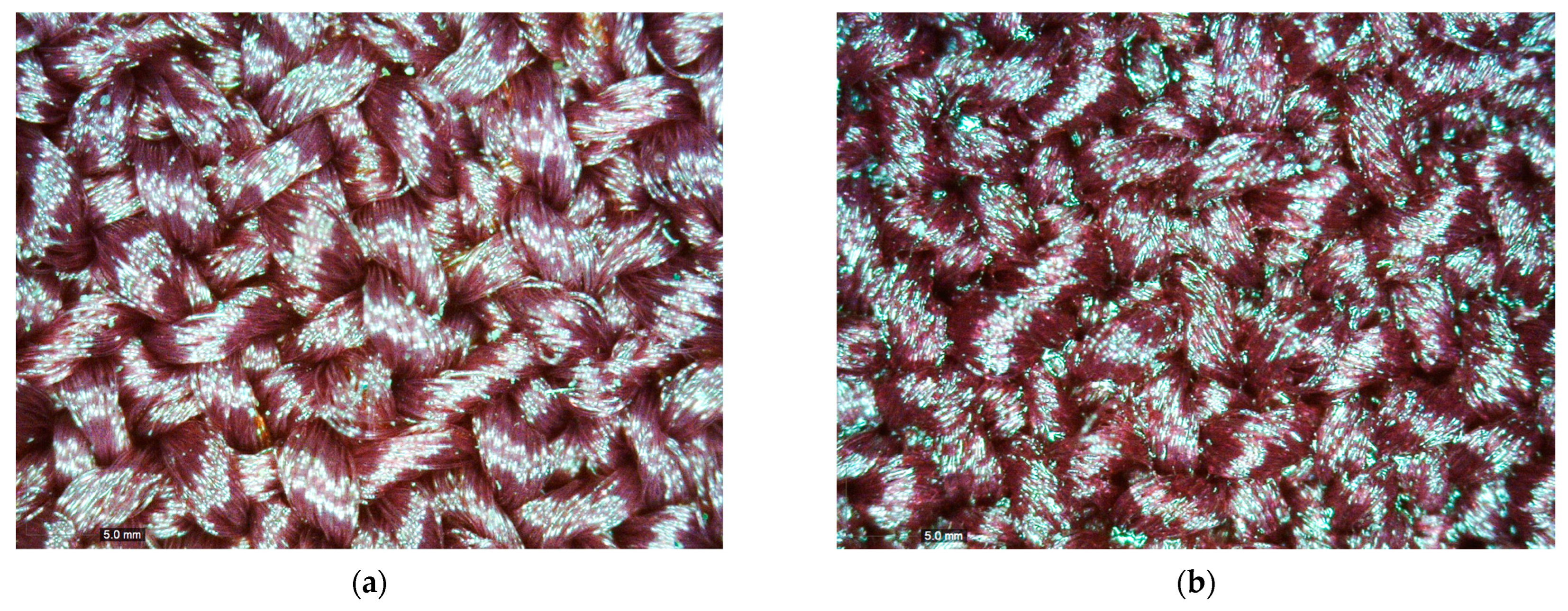 Polymers 16 03439 g005