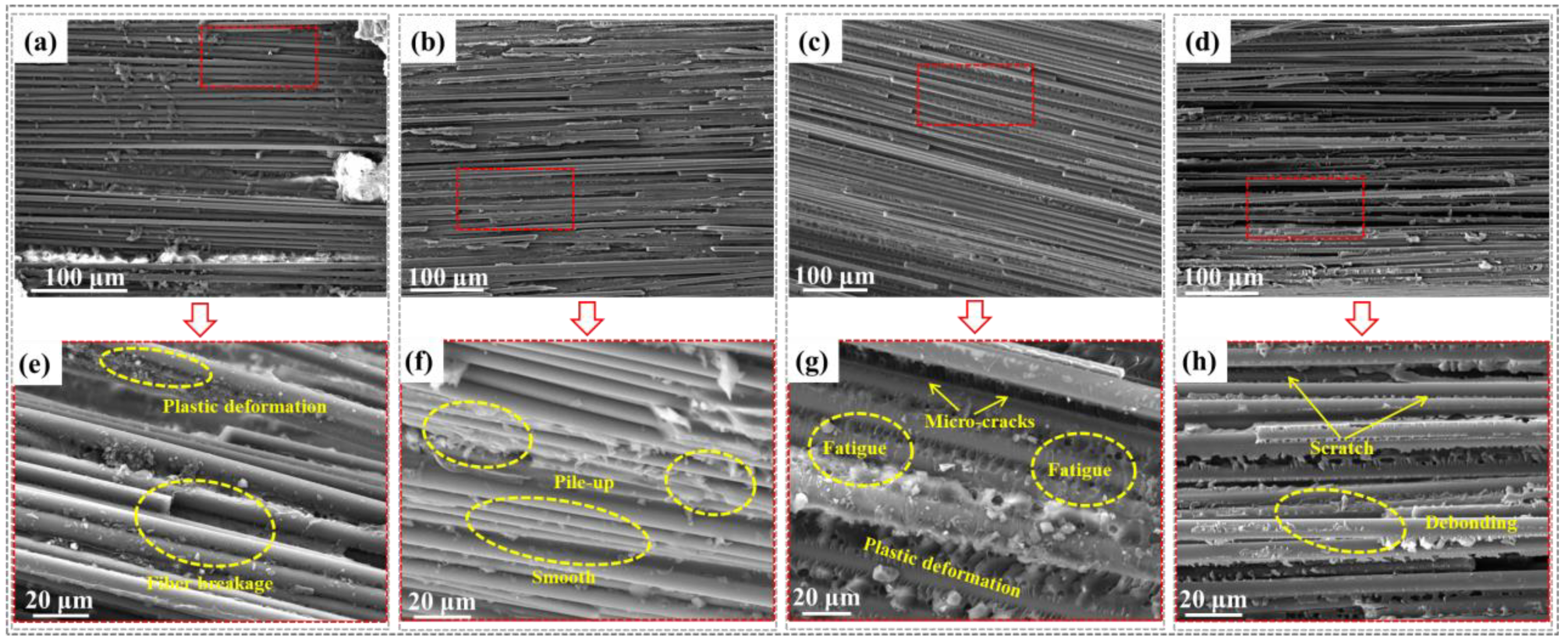 Polymers 16 03446 g008