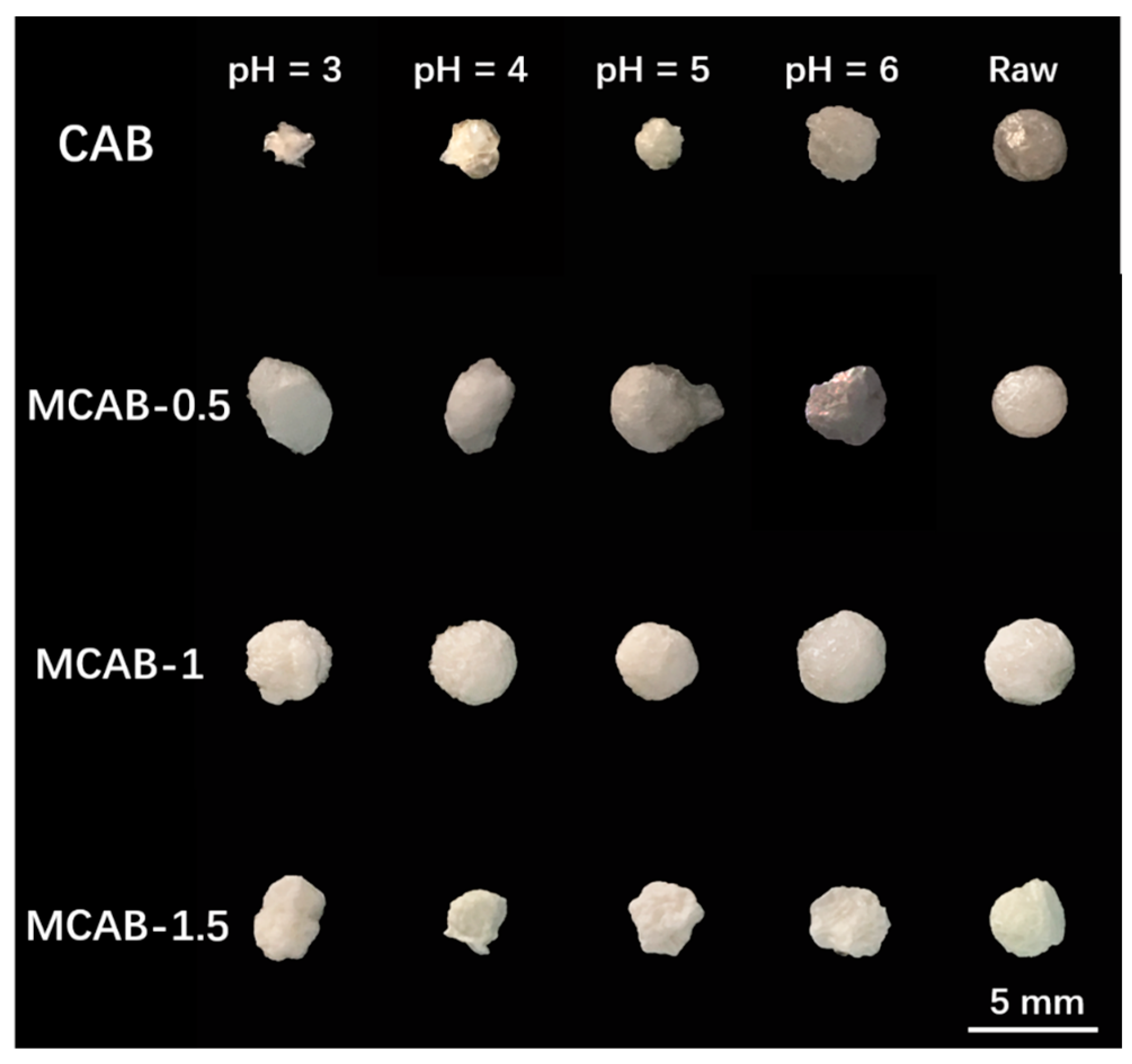 Polymers 16 03454 g010