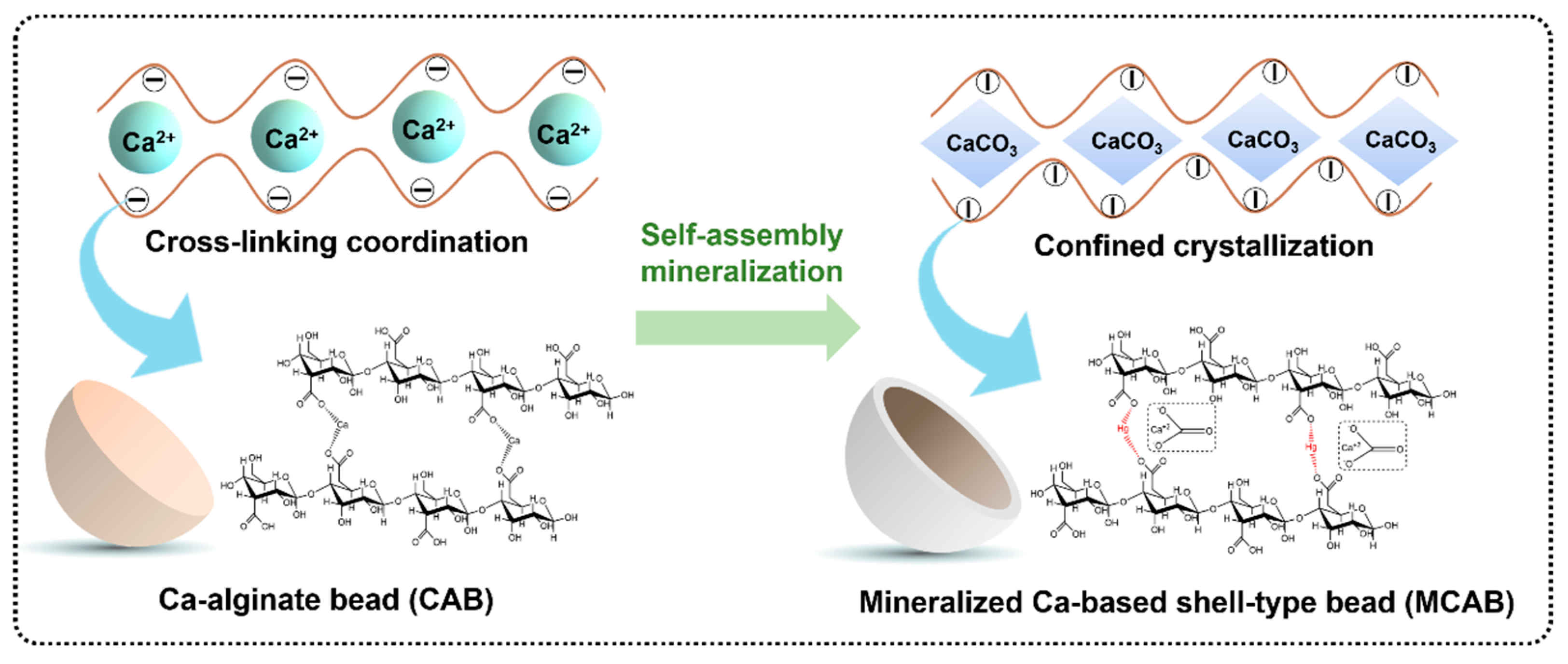 Polymers 16 03454 g011