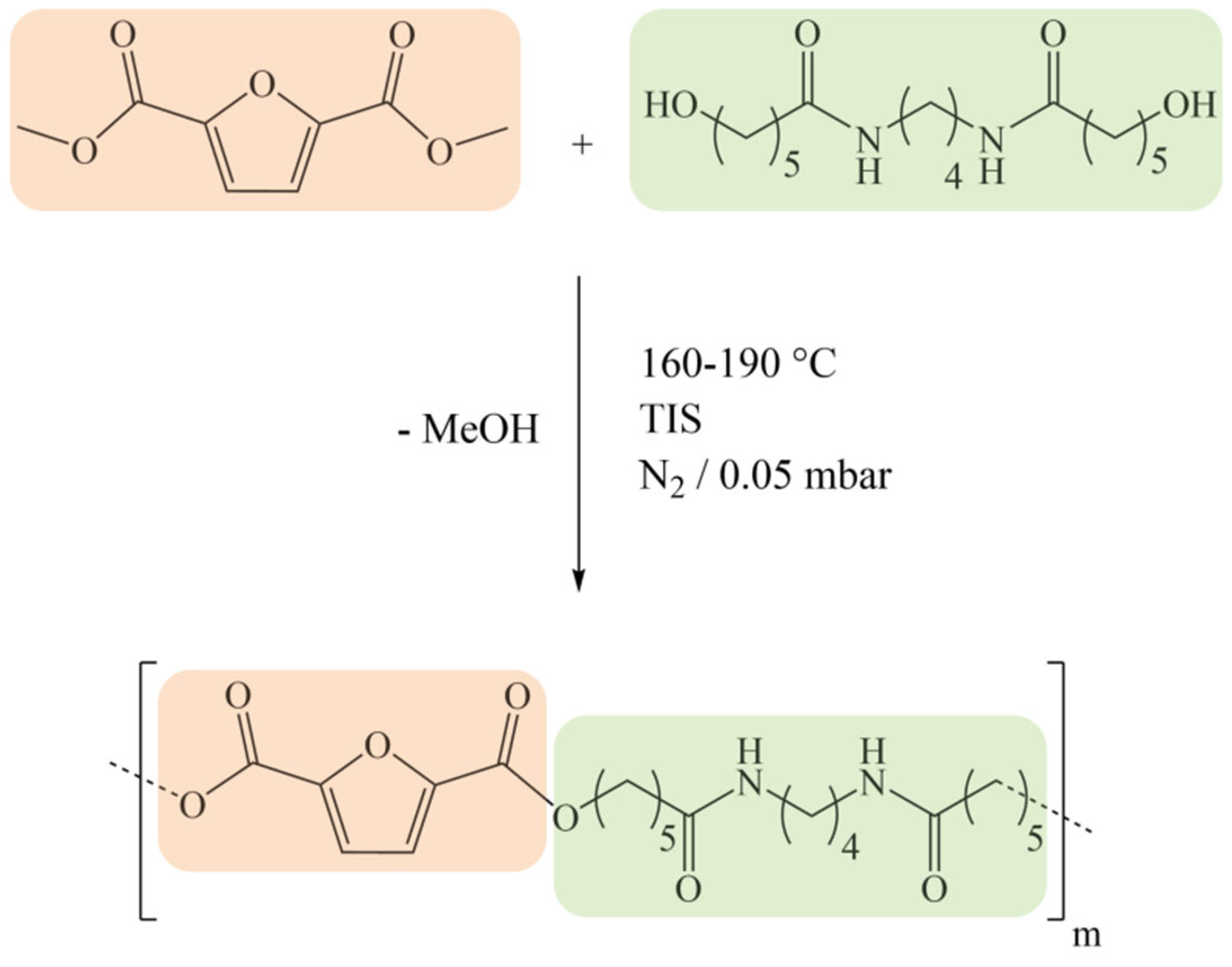 Polymers 16 03459 g001