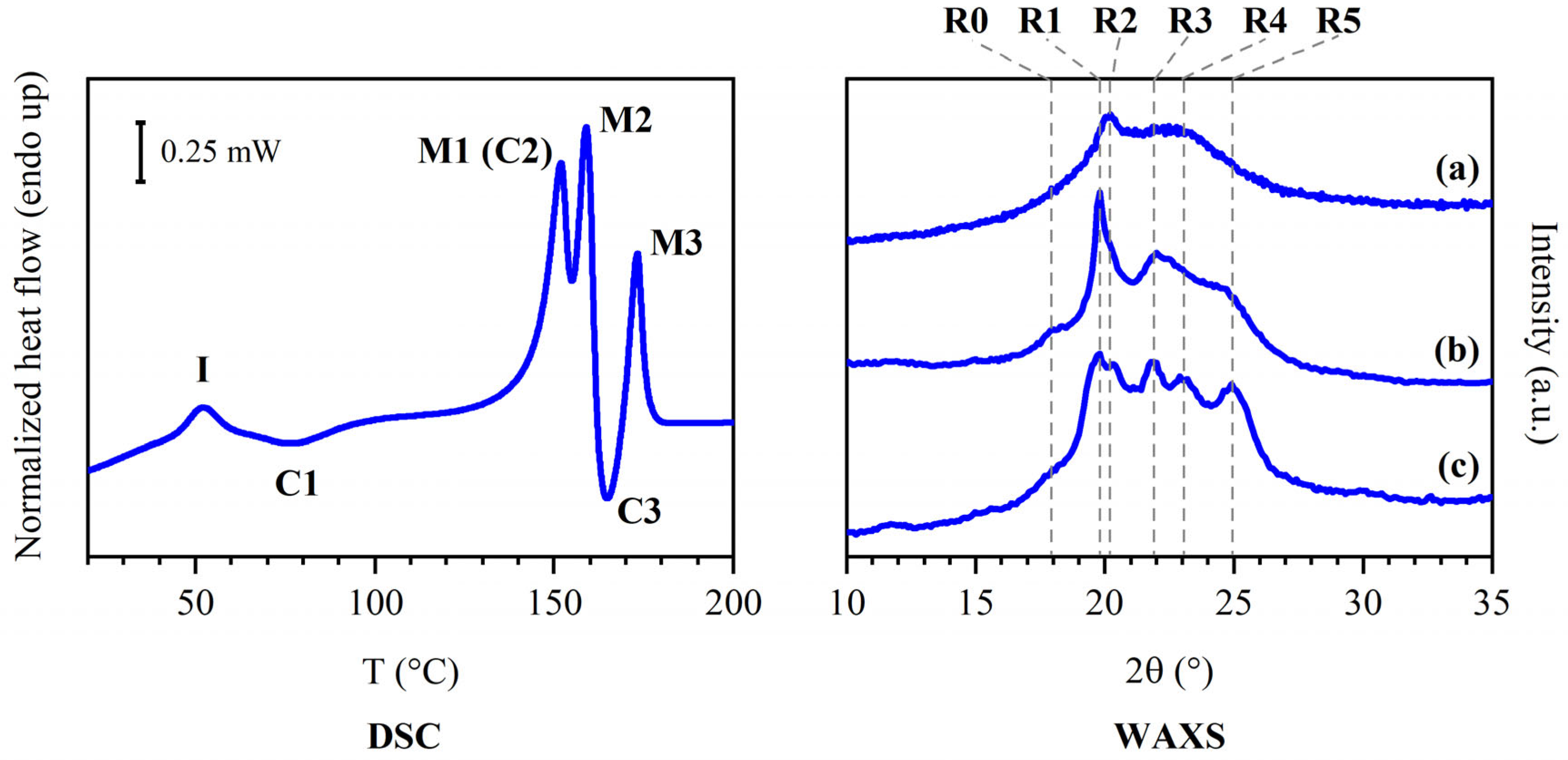 Polymers 16 03459 g002