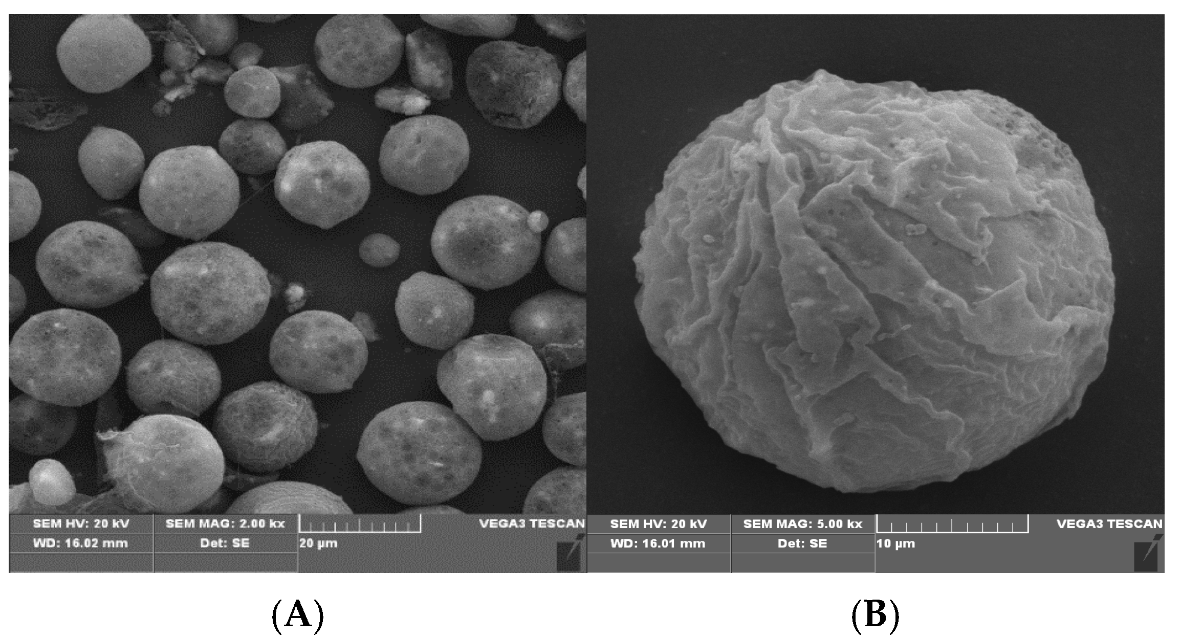 Polymers 16 03460 g004