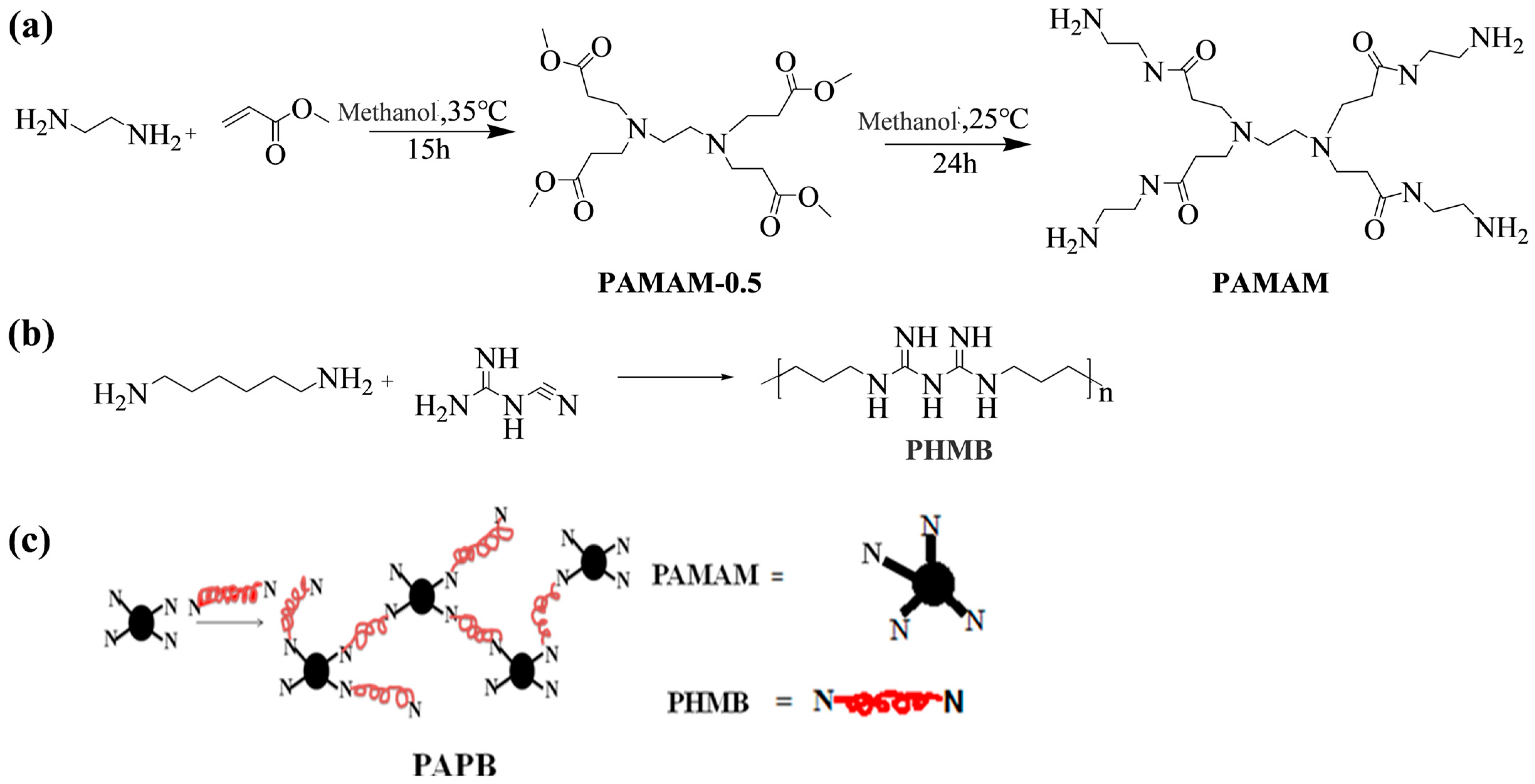 Polymers 16 03481 g001