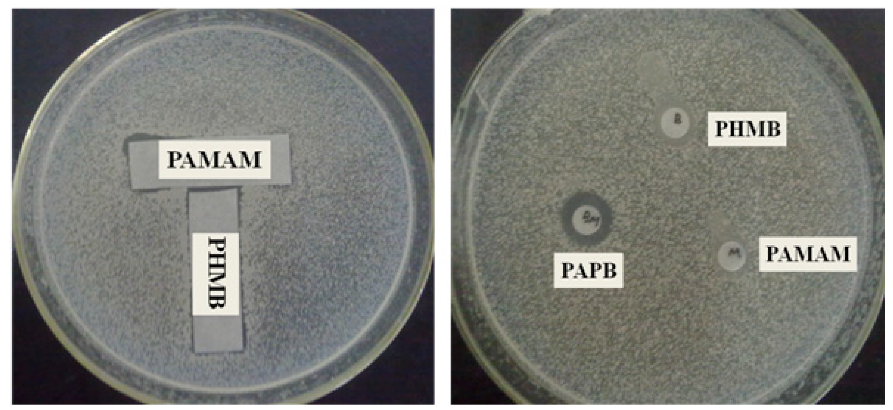 Polymers 16 03481 g006