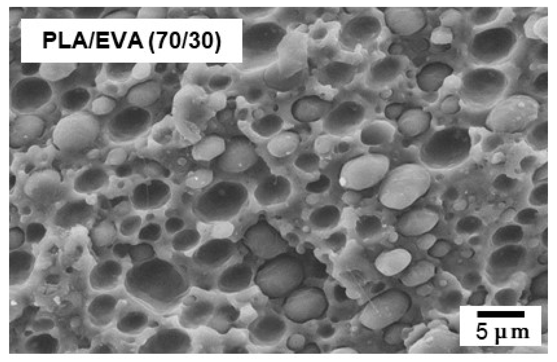 Polymers 16 03487 g001