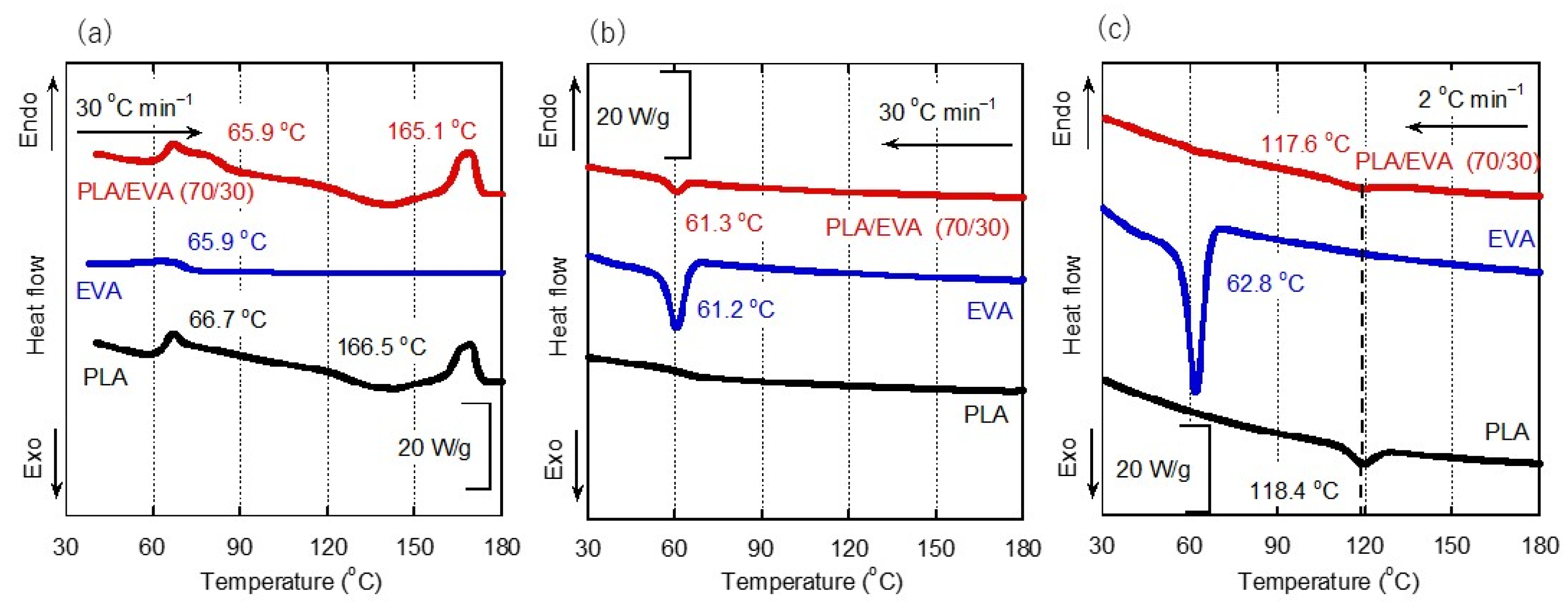 Polymers 16 03487 g002