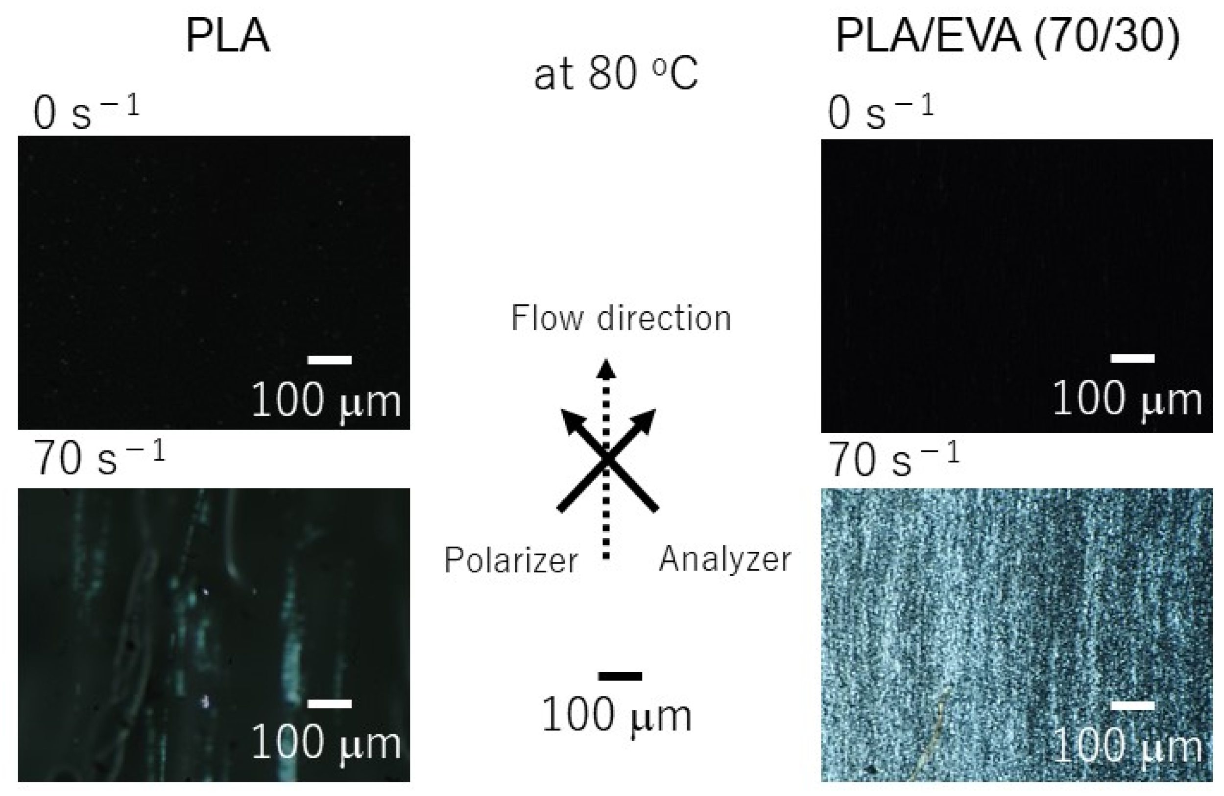 Polymers 16 03487 g009