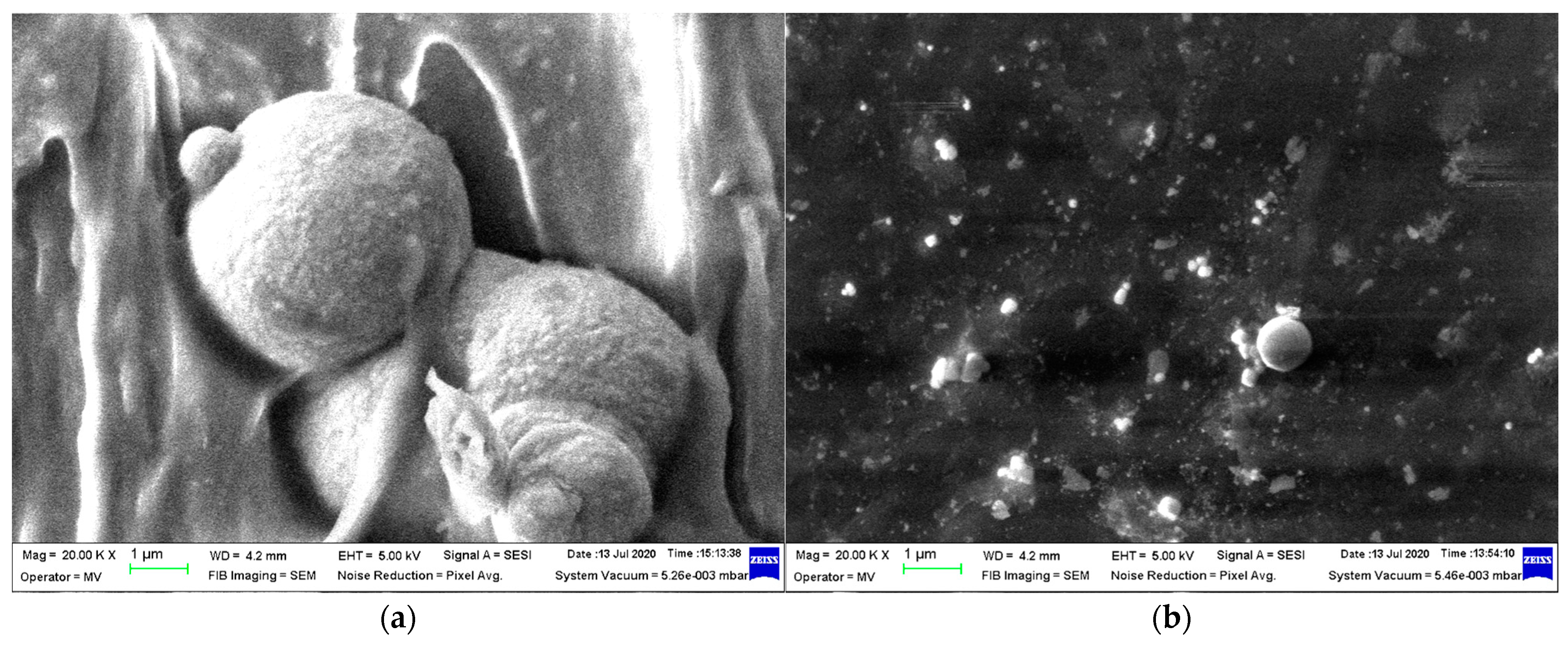 Polymers 16 03496 g004