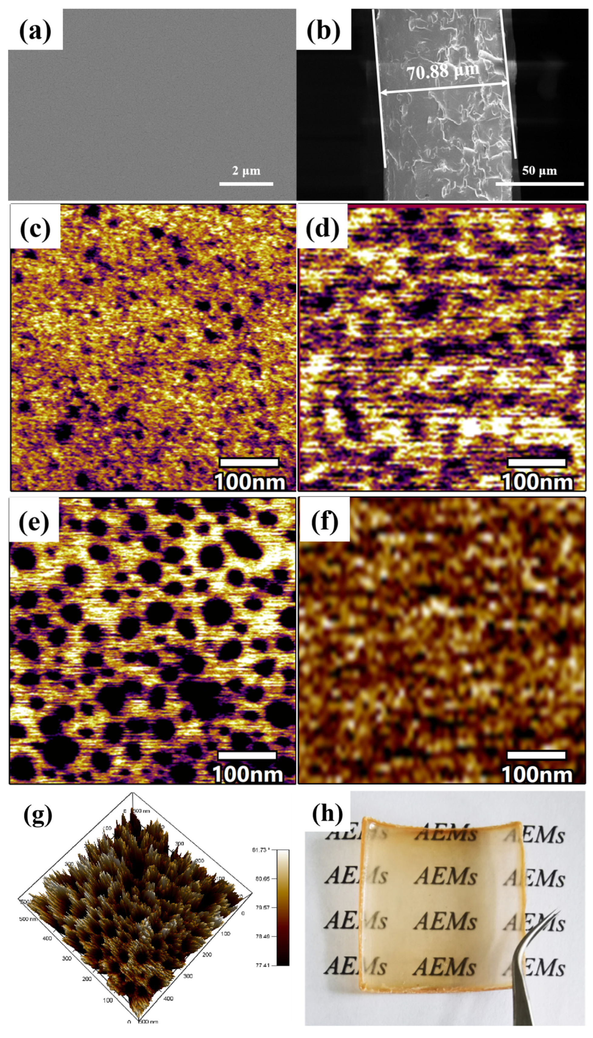 Polymers 16 03534 g003a