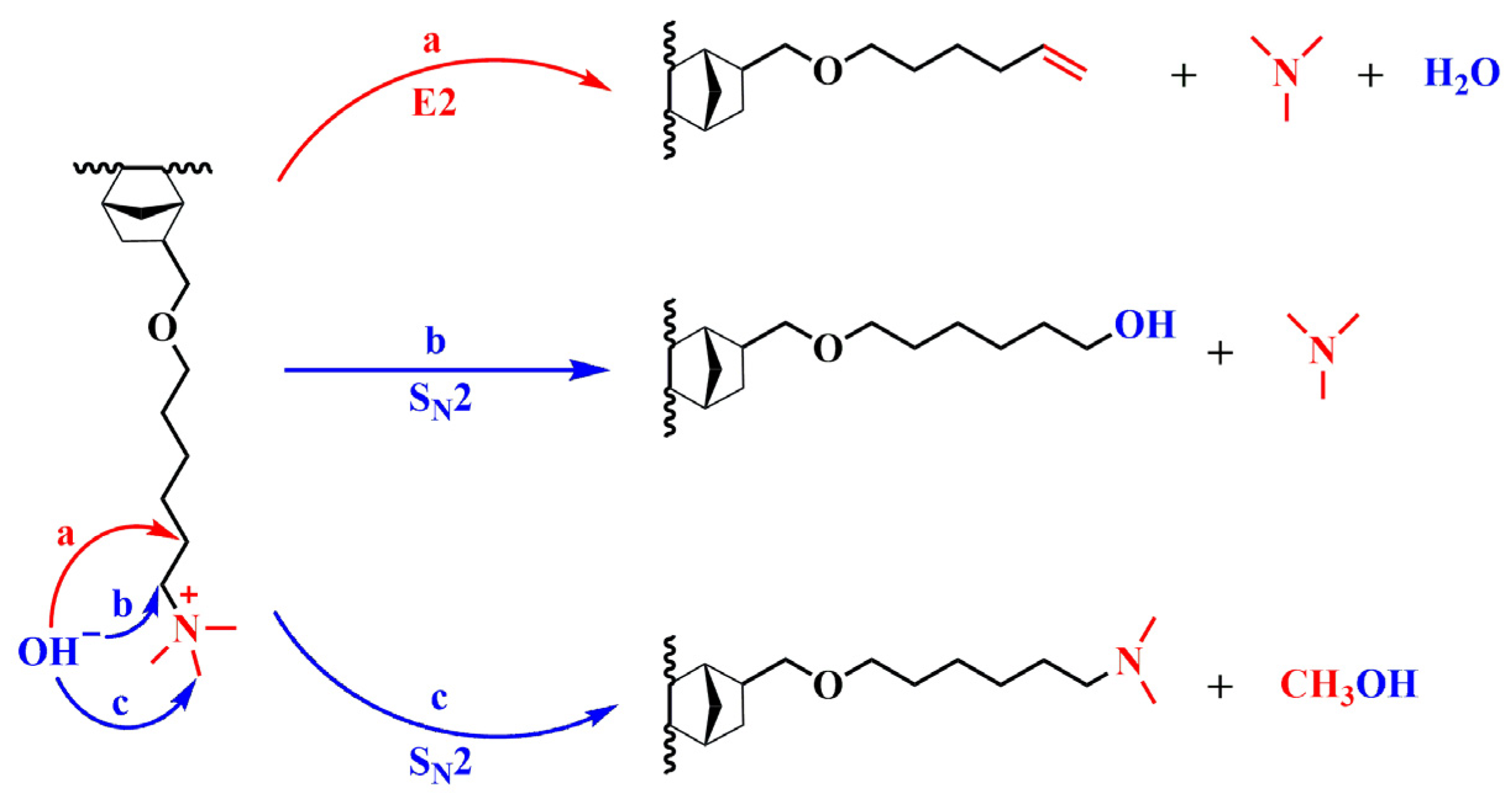 Polymers 16 03534 g009