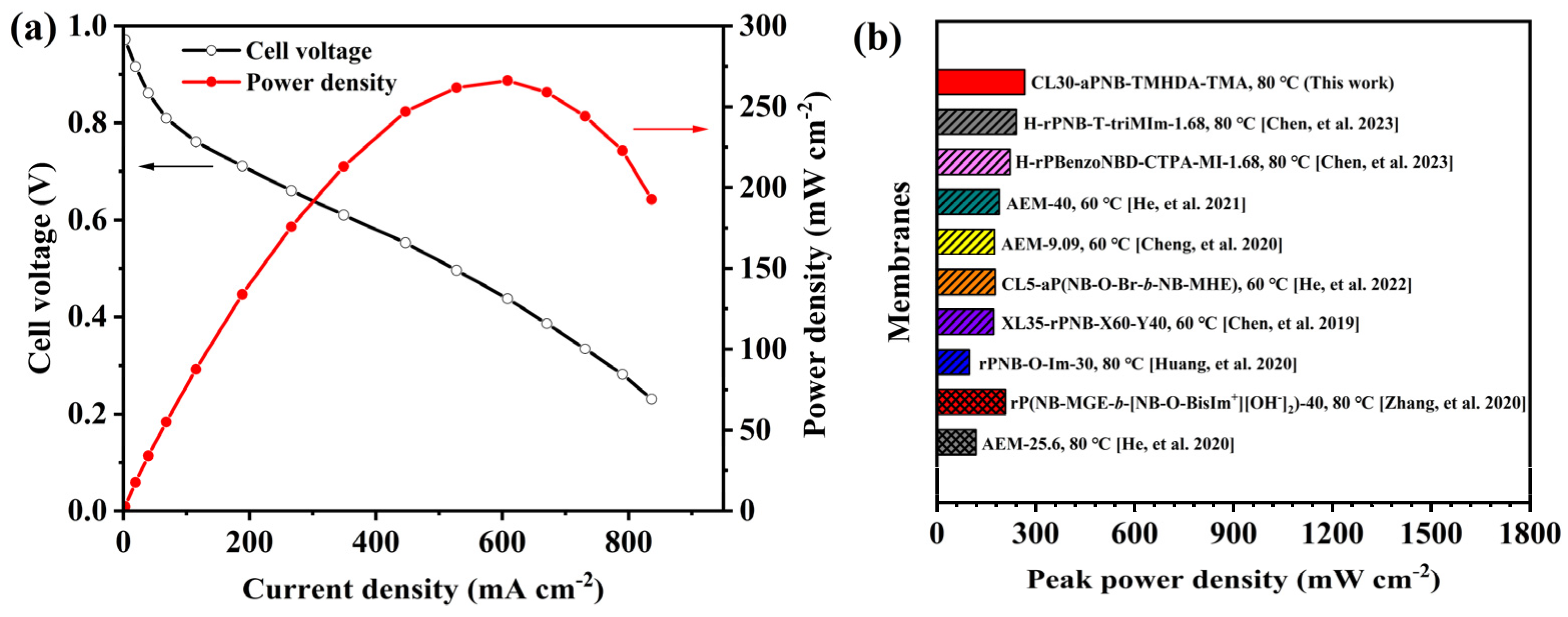 Polymers 16 03534 g011