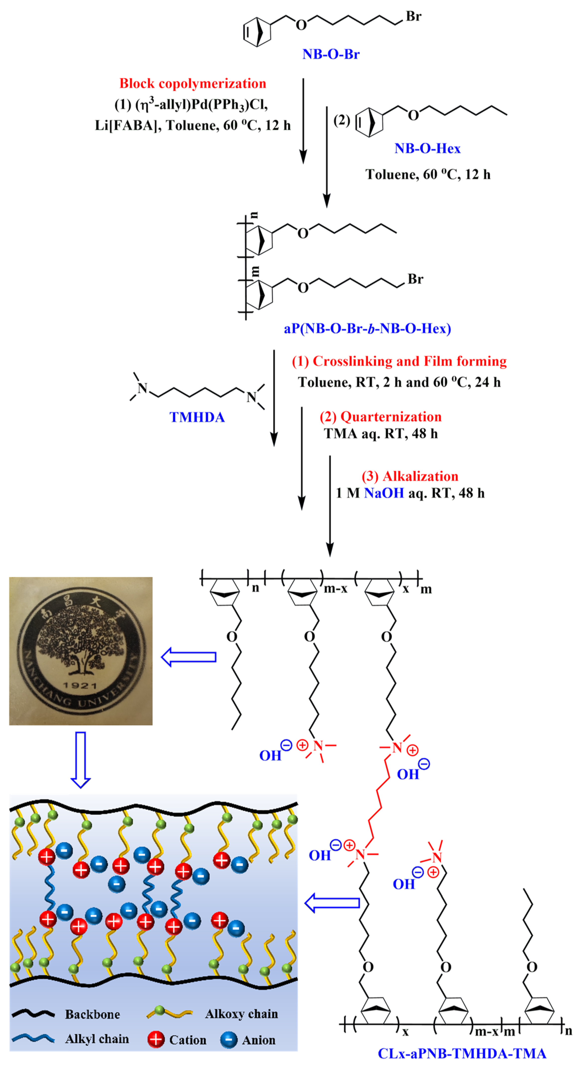 Polymers 16 03534 sch001