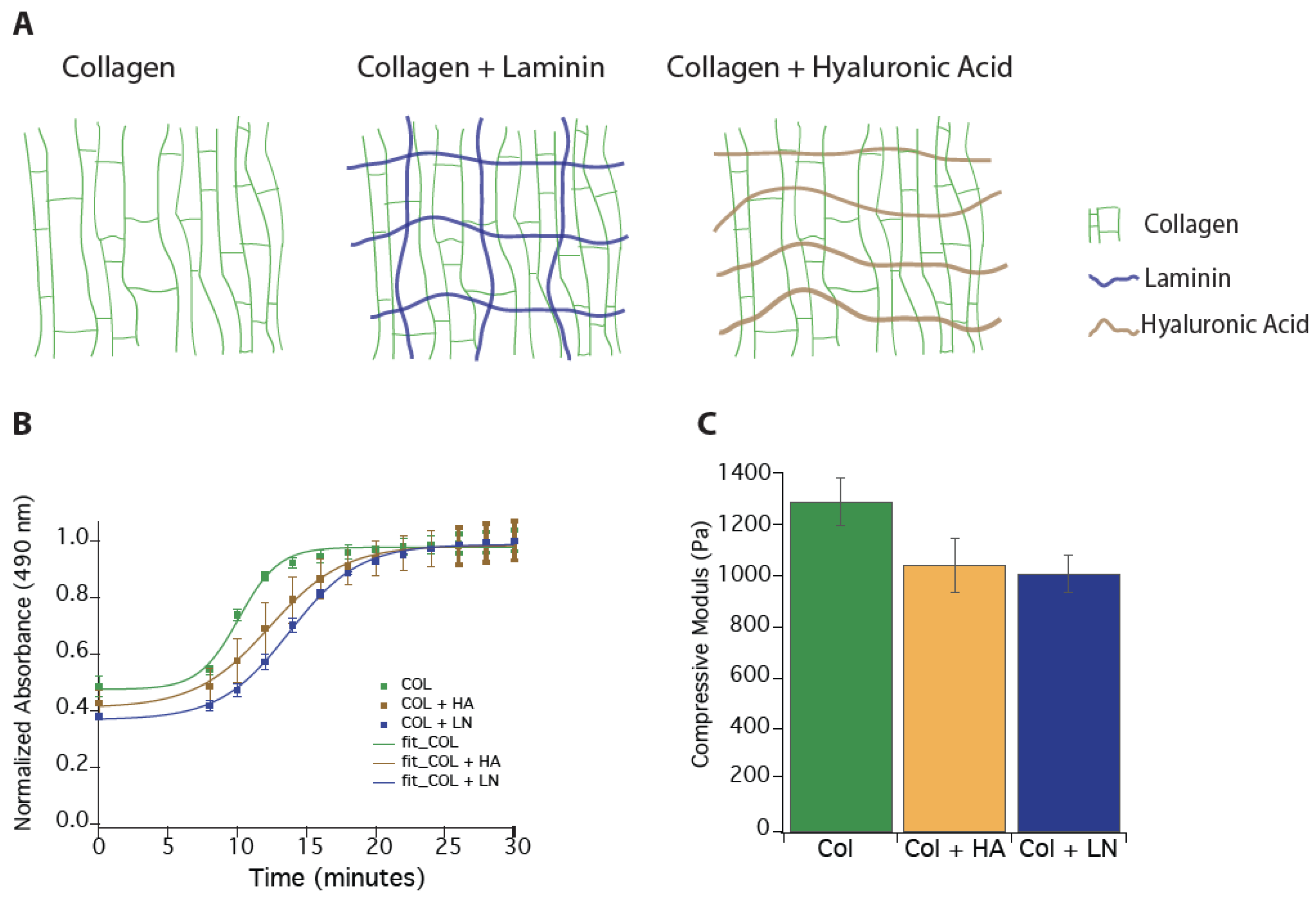 Polymers 16 03556 g001