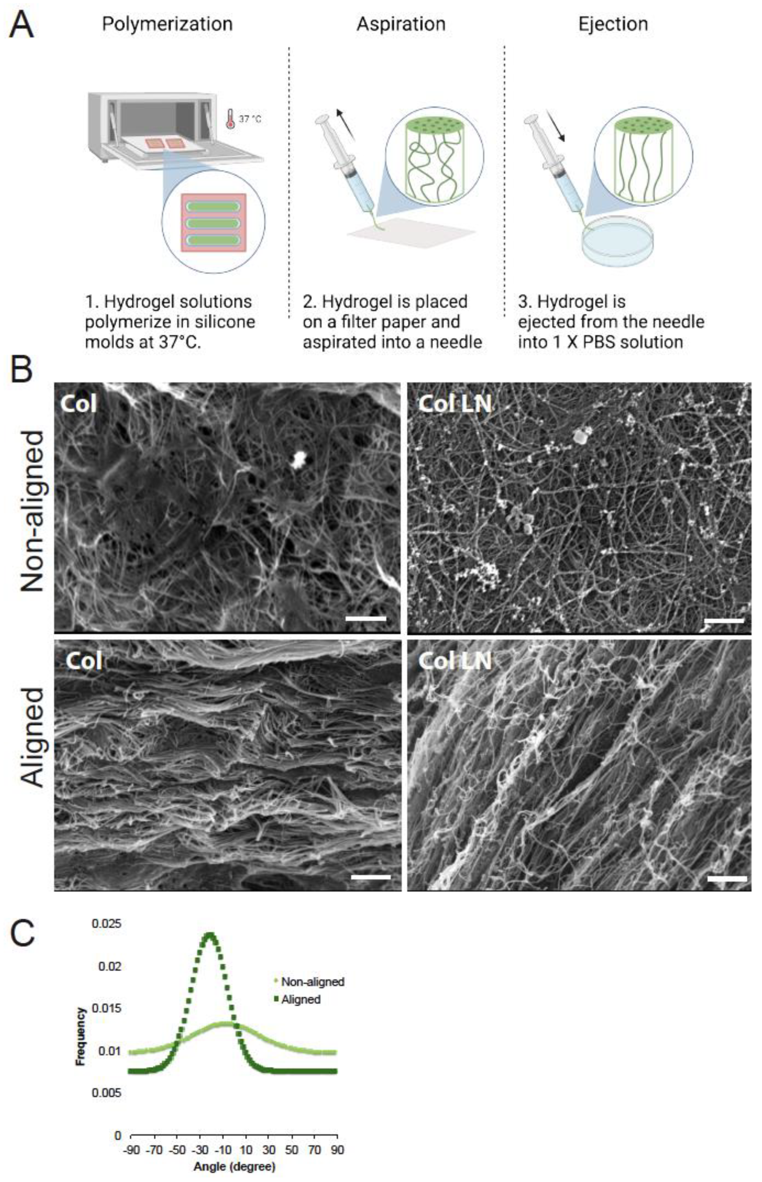 Polymers 16 03556 g002