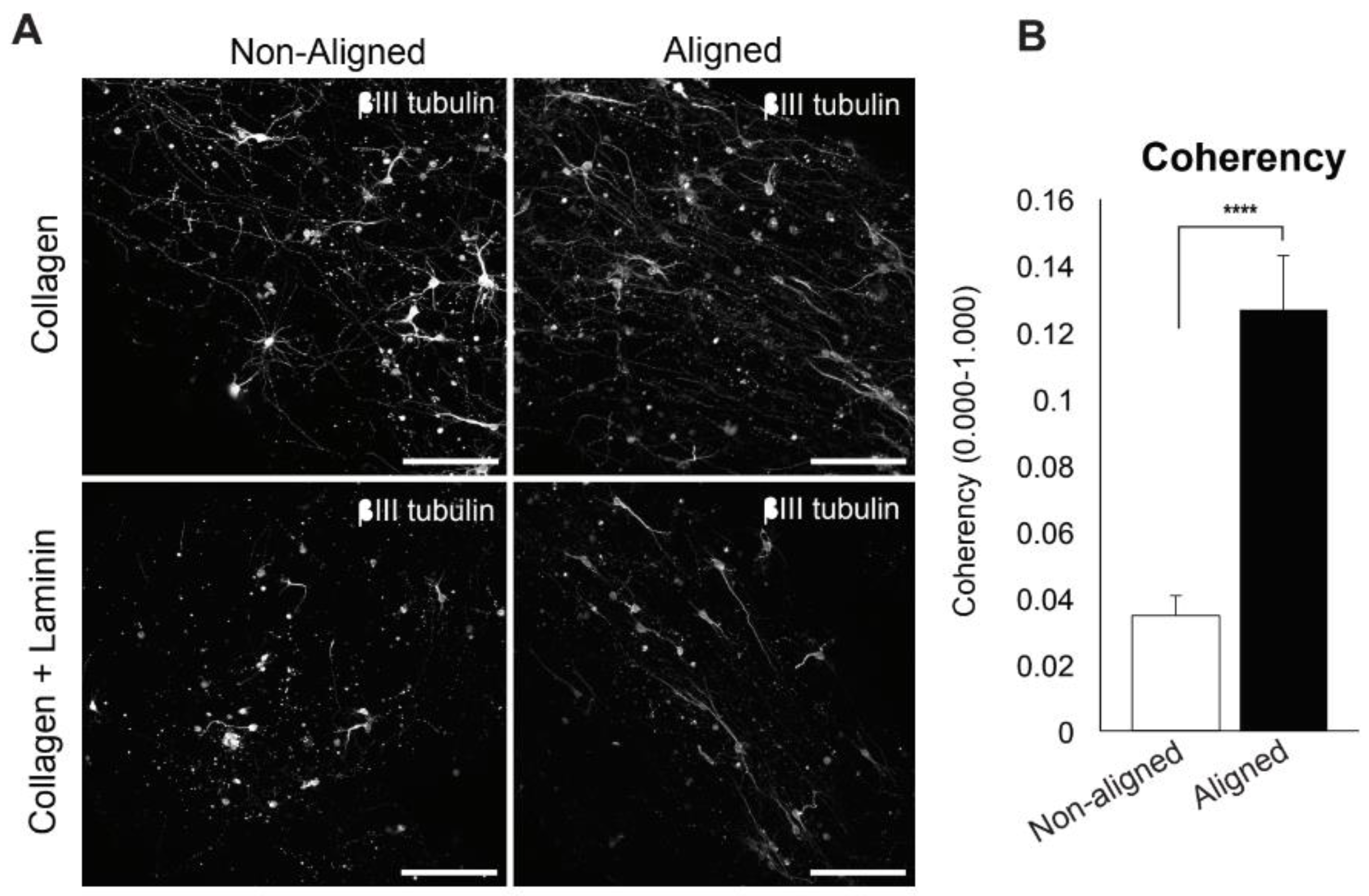 Polymers 16 03556 g003