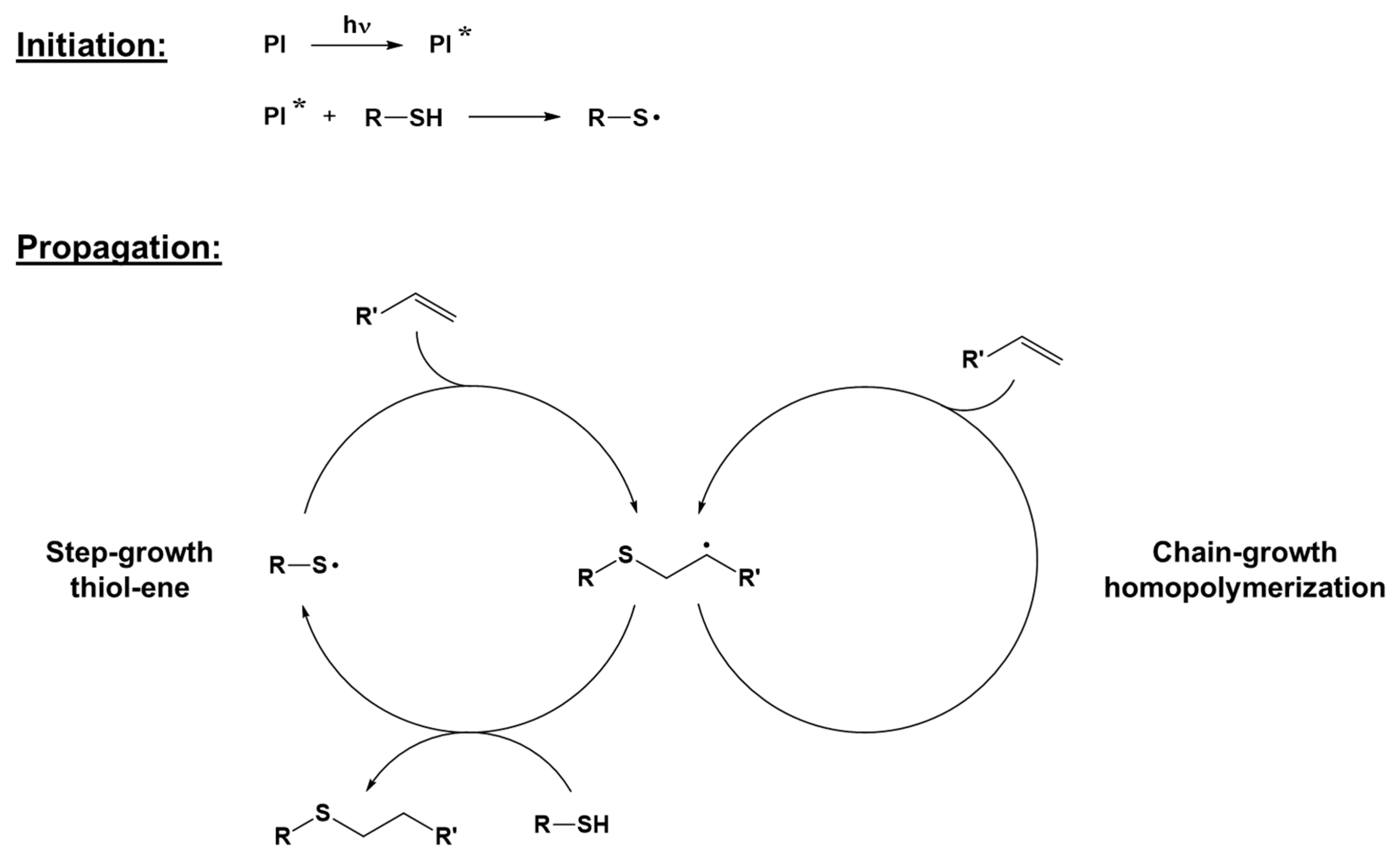 Polymers 16 03570 g005 Polymers 16 03570 g005
