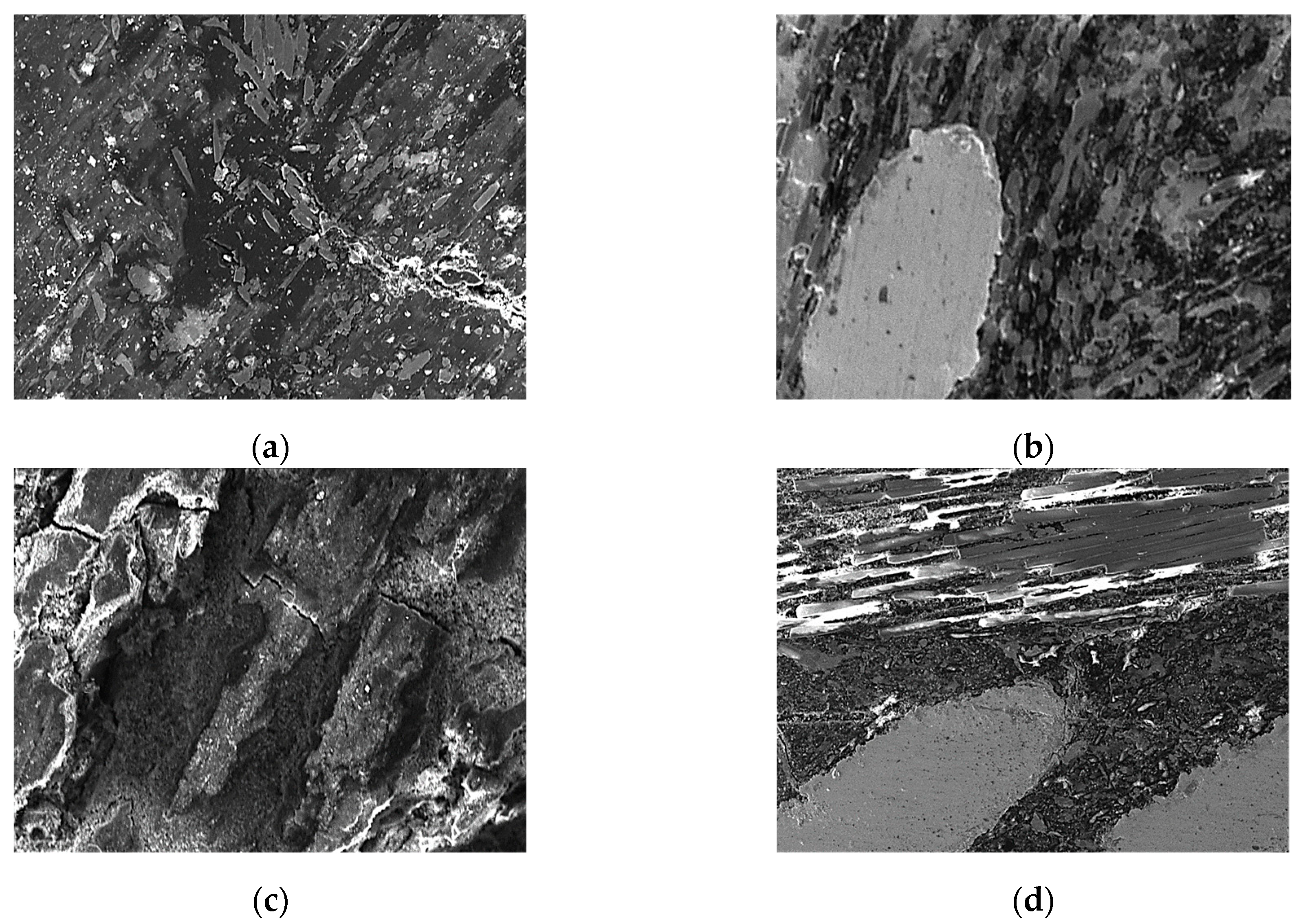 Polymers 16 03588 g008