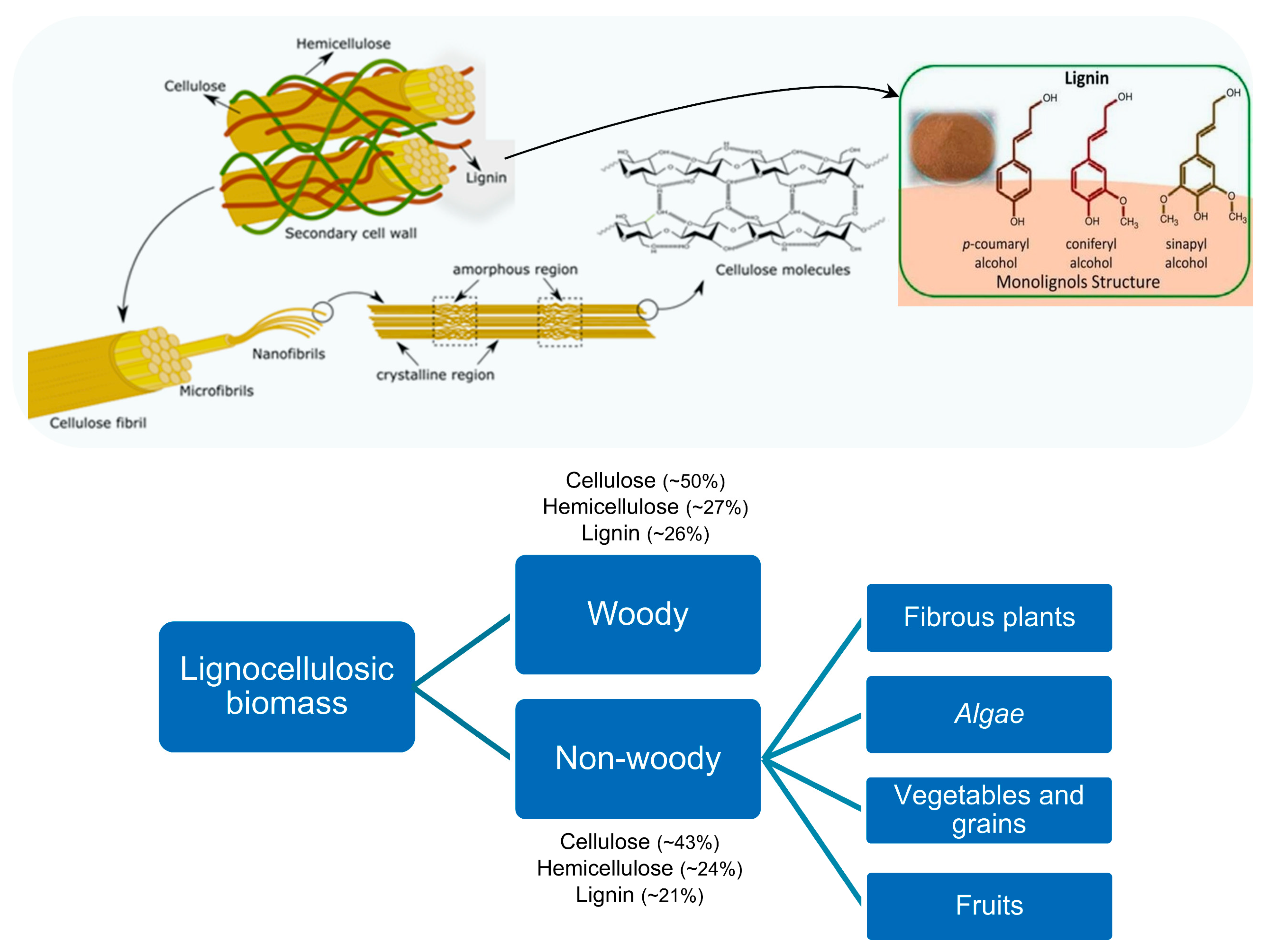 Polymers 16 03602 g004