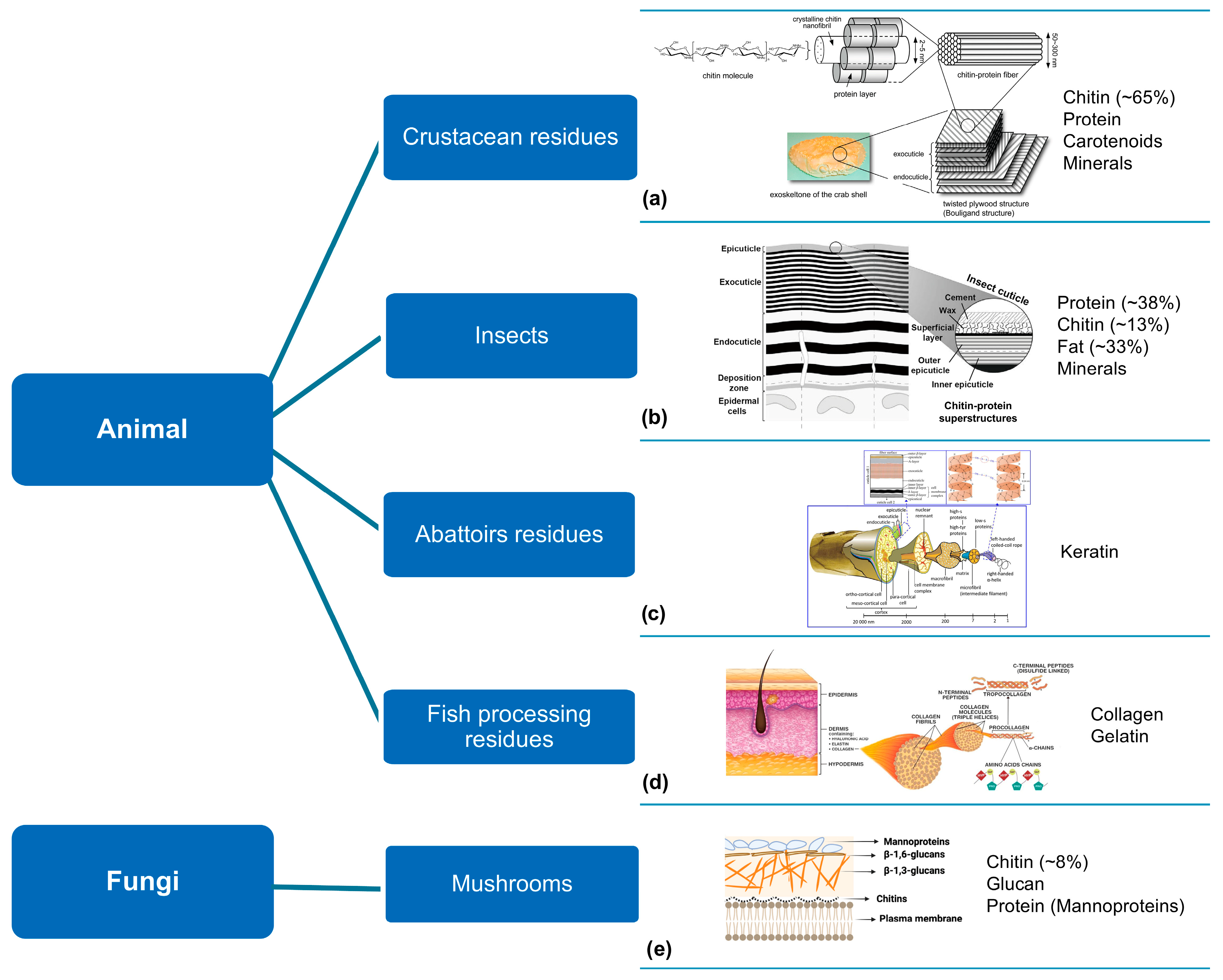 Polymers 16 03602 g005