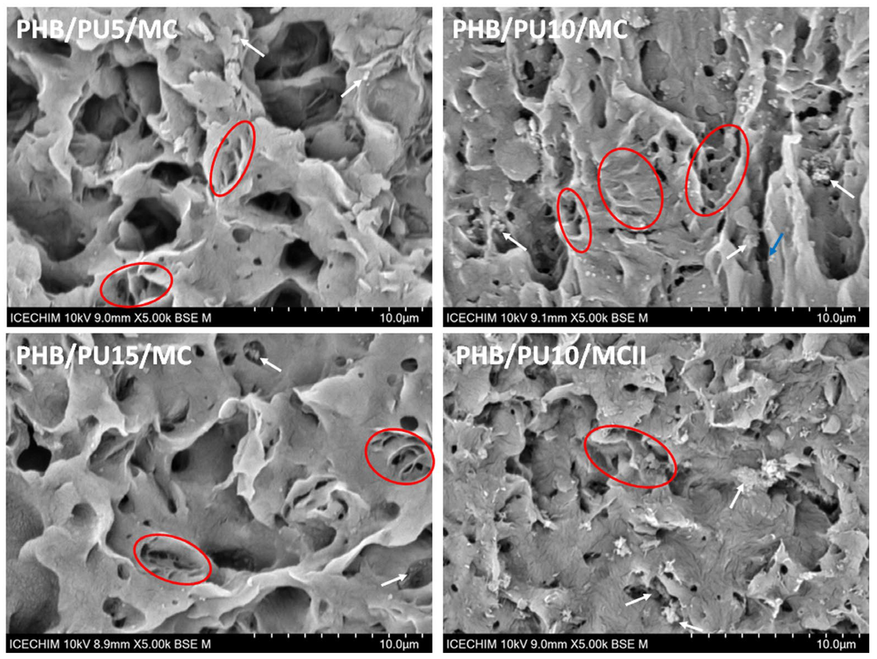 Polymers 16 03606 g008
