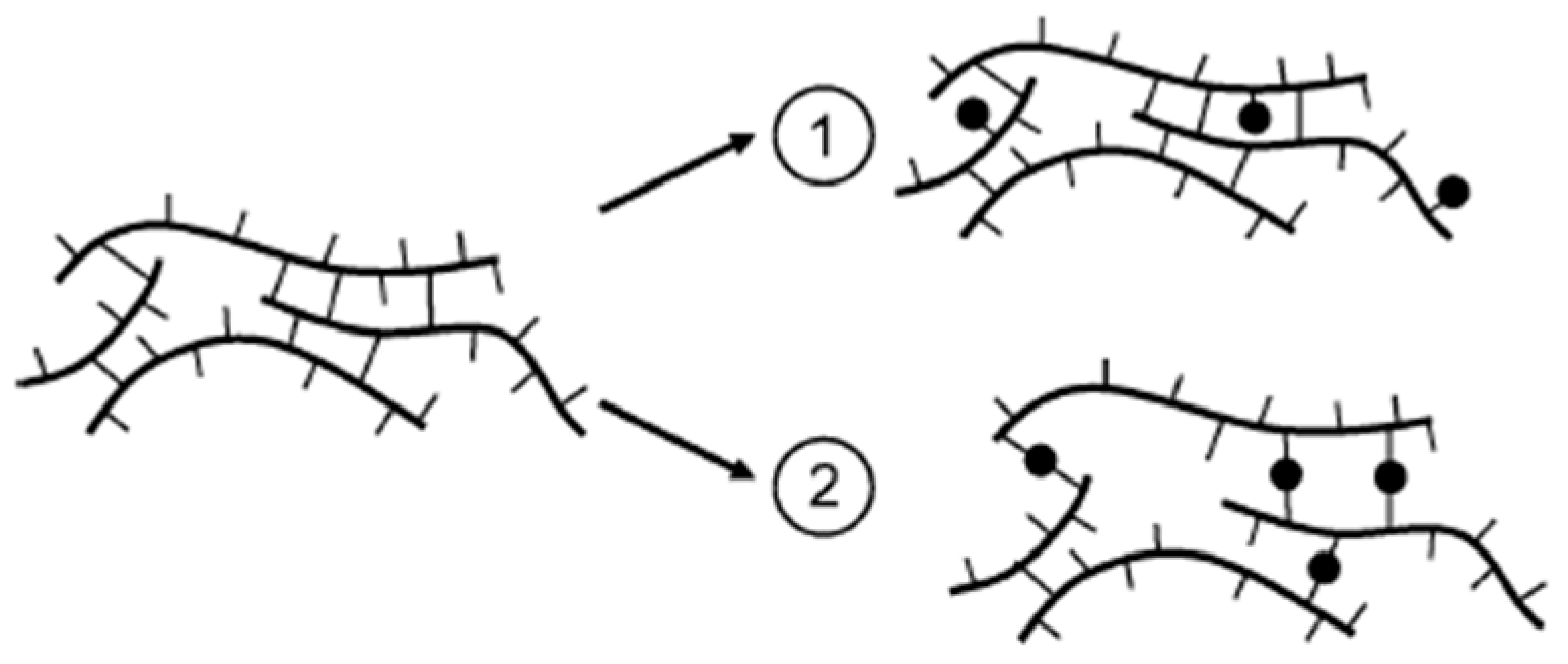 Polymers 16 03611 g003