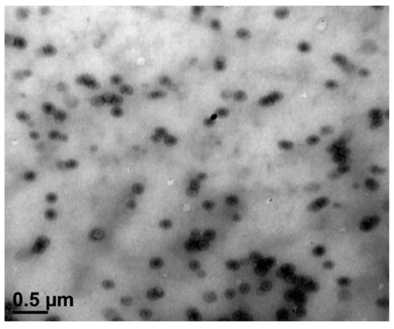 Polymers 16 03611 g009