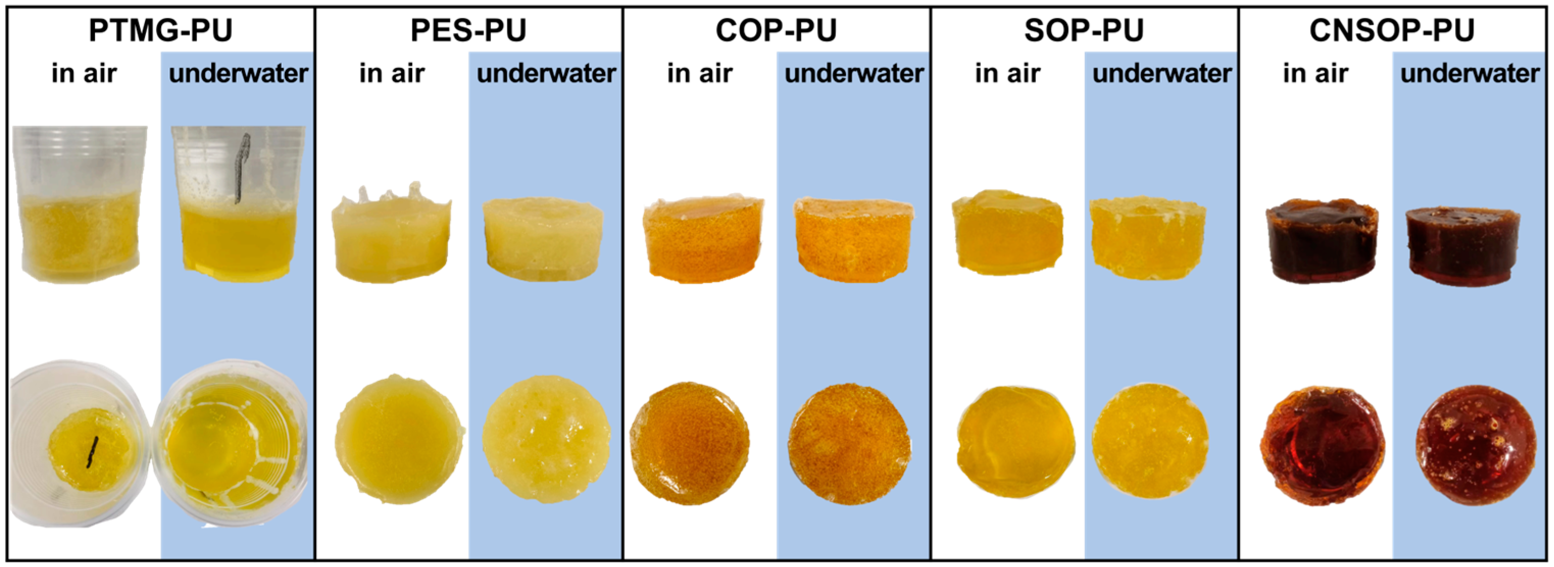 Polymers 17 00005 g009