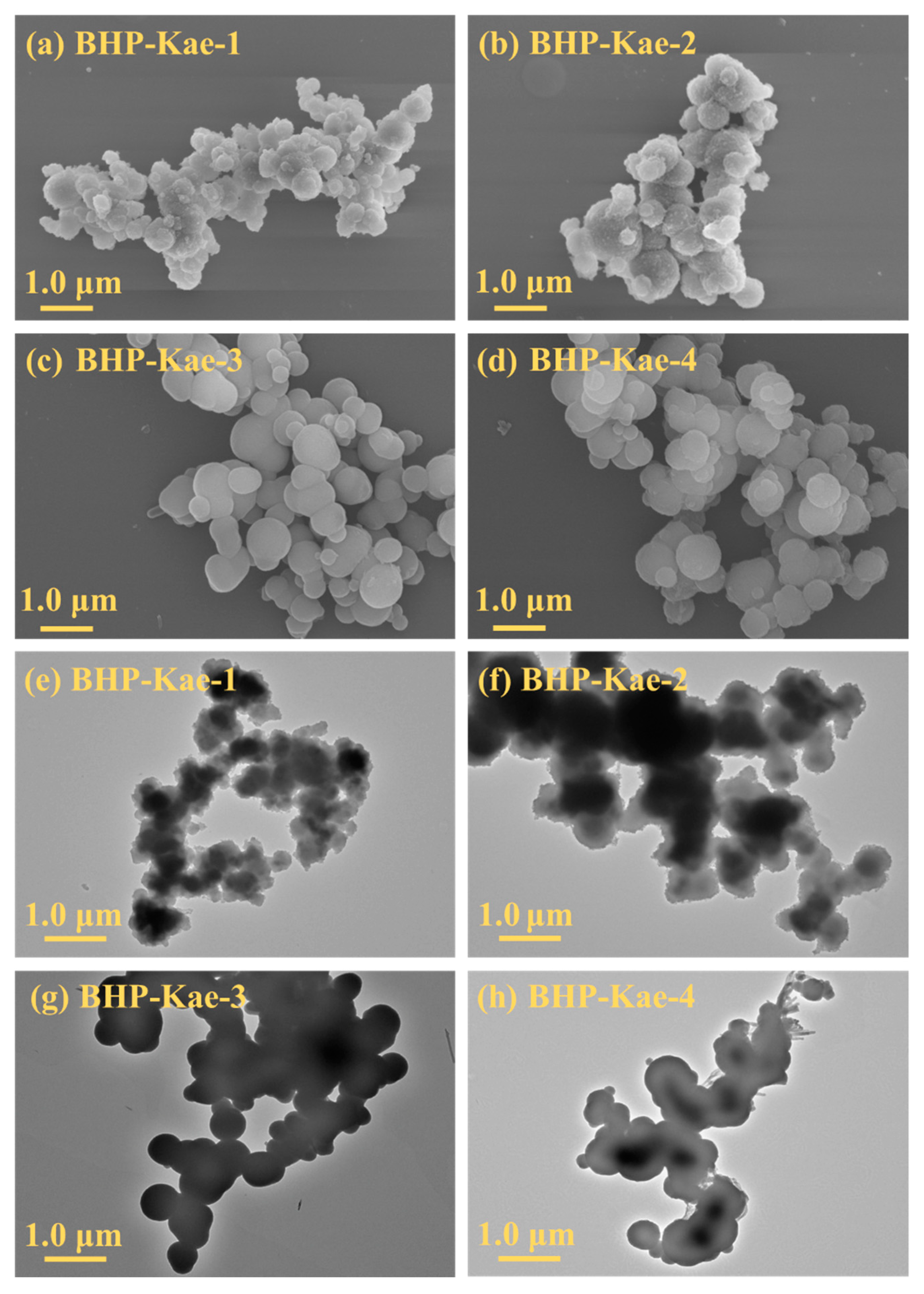Polymers 17 00079 g002