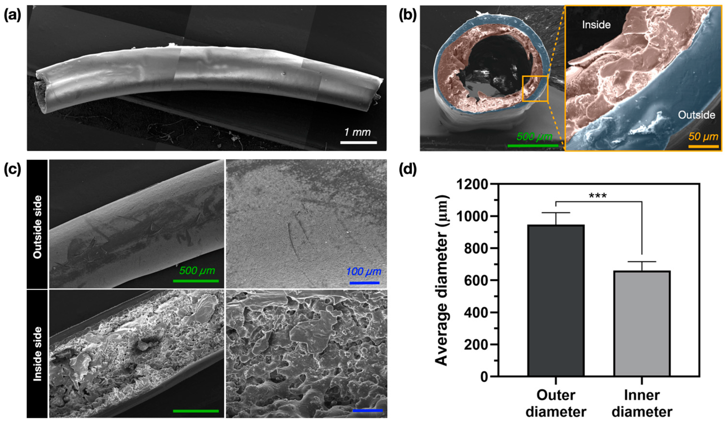 Polymers 17 00118 g004