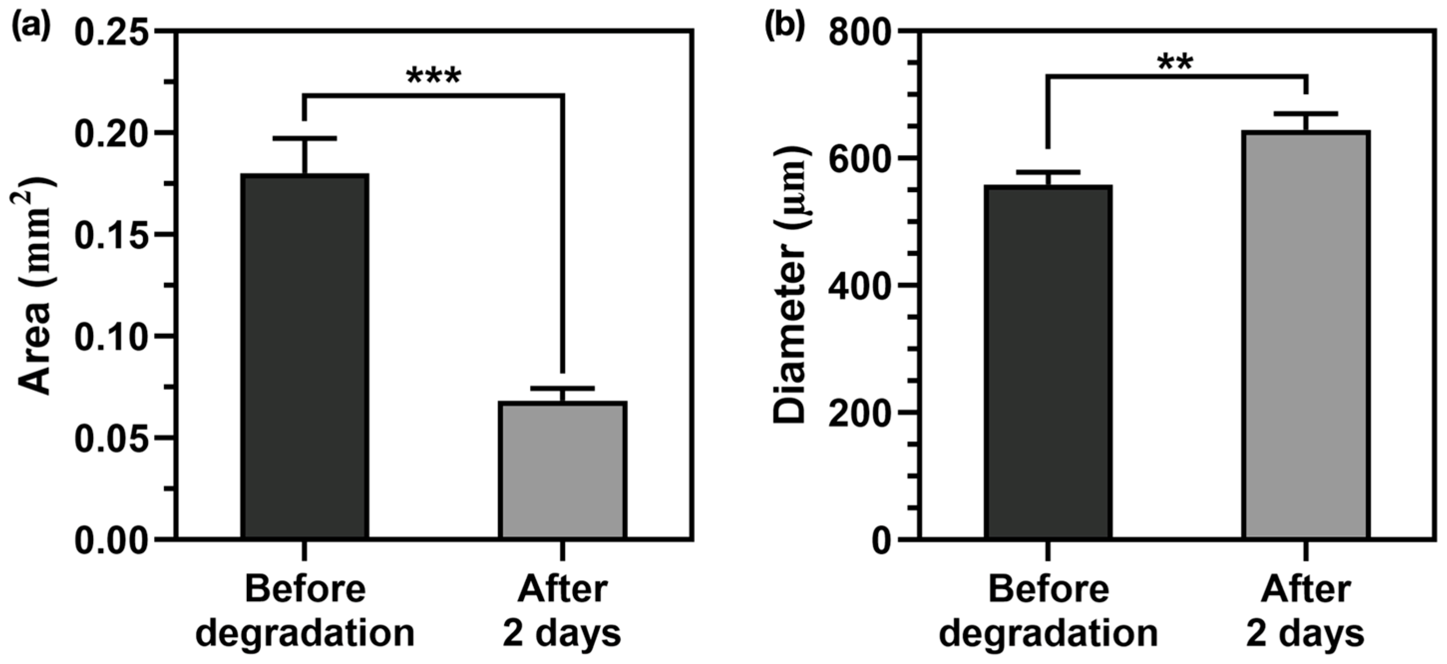 Polymers 17 00118 g006