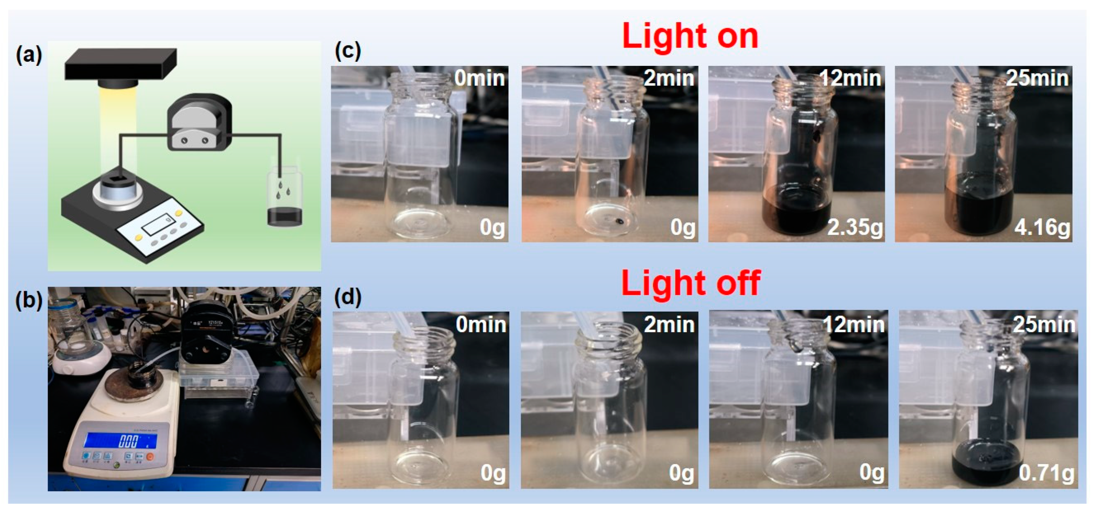 Polymers 17 00135 g005