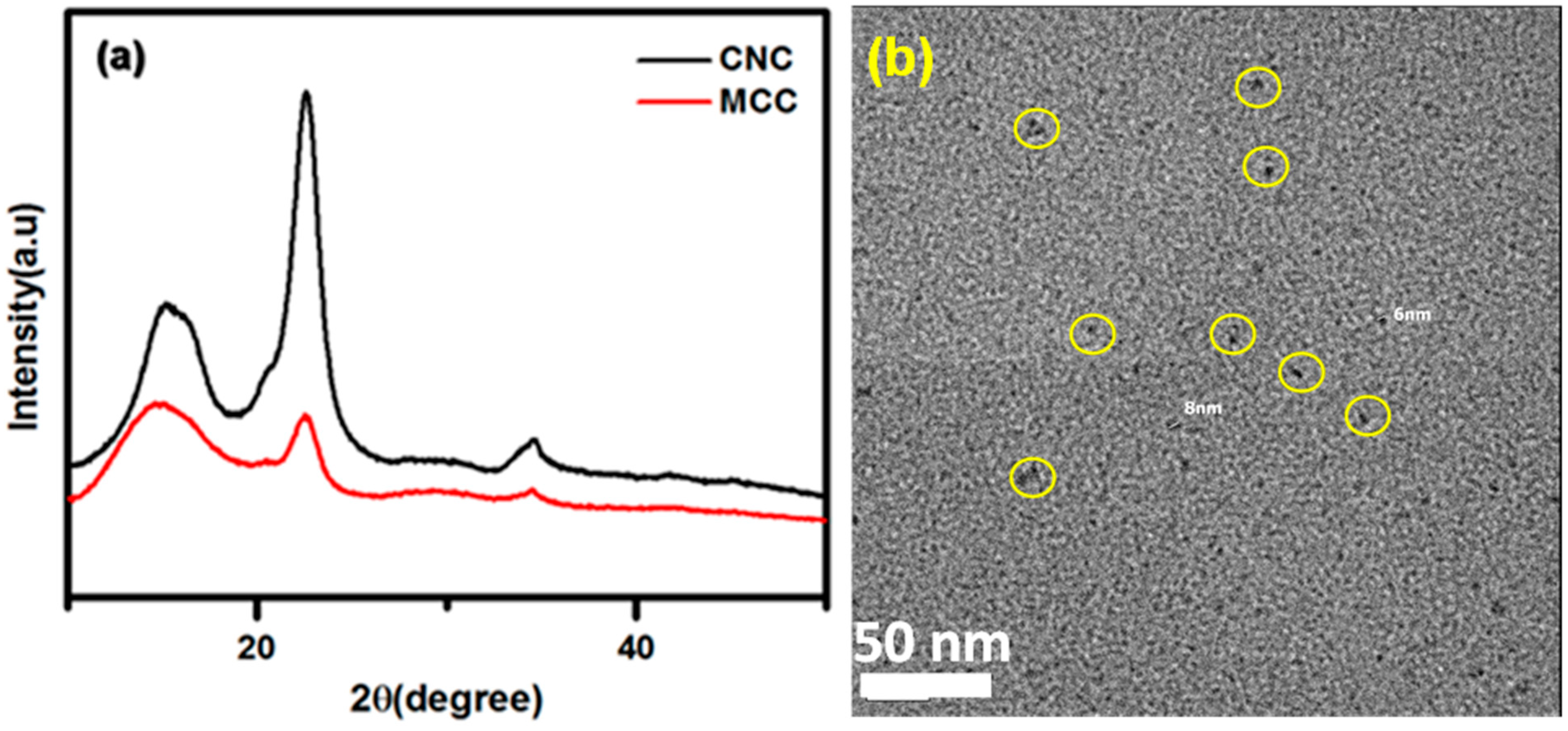 Polymers 17 00154 g001