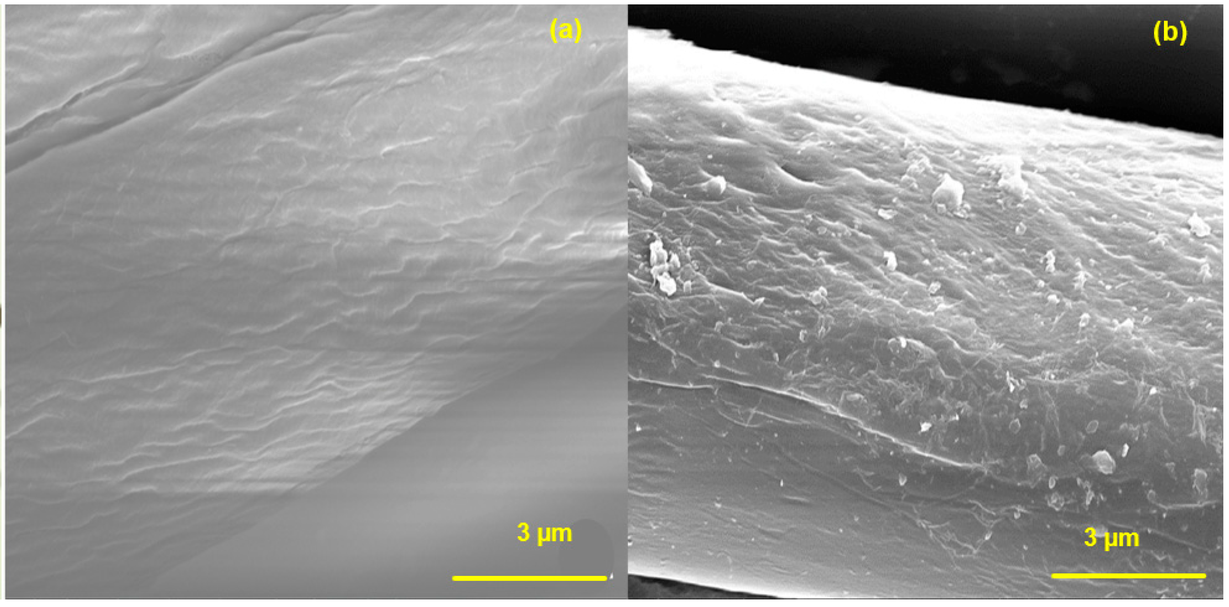 Polymers 17 00154 g003