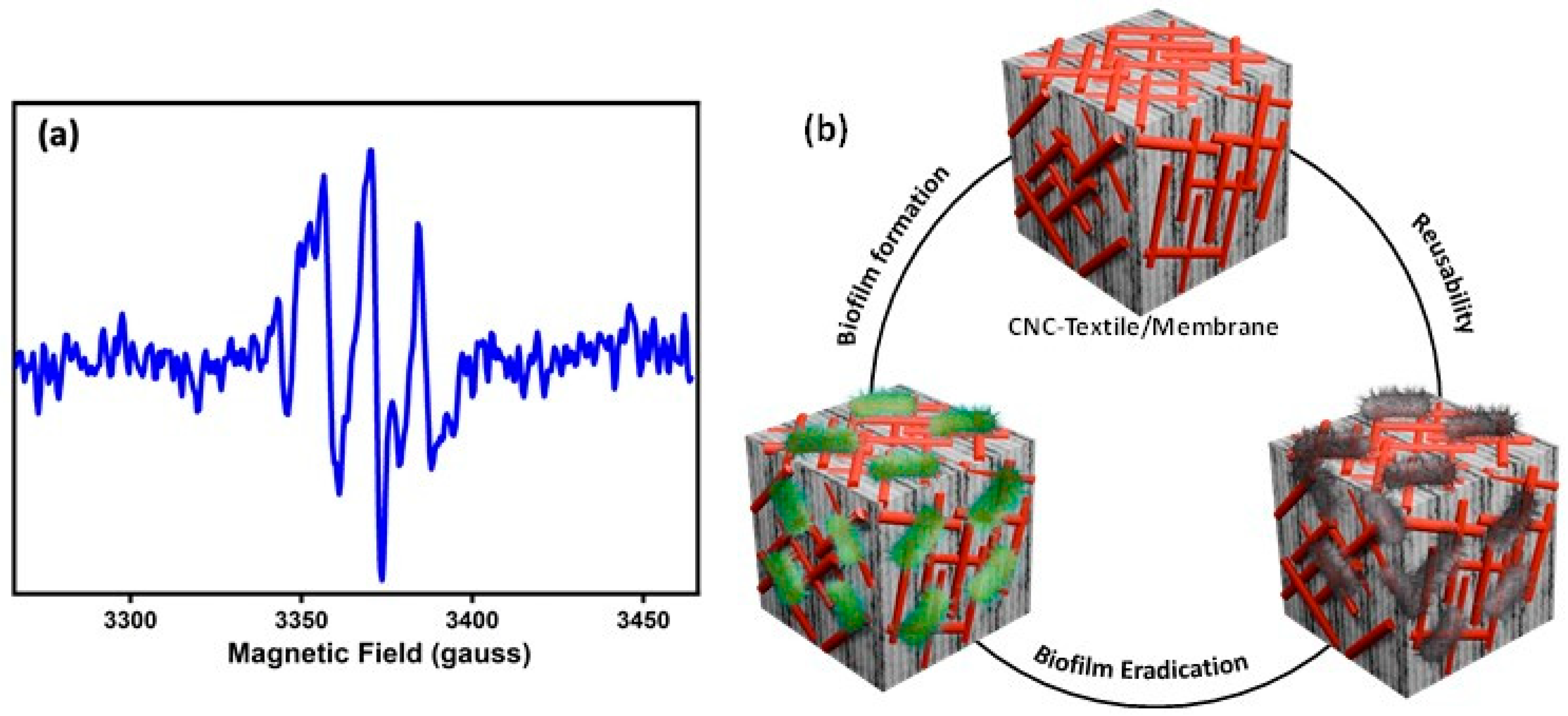 Polymers 17 00154 g008