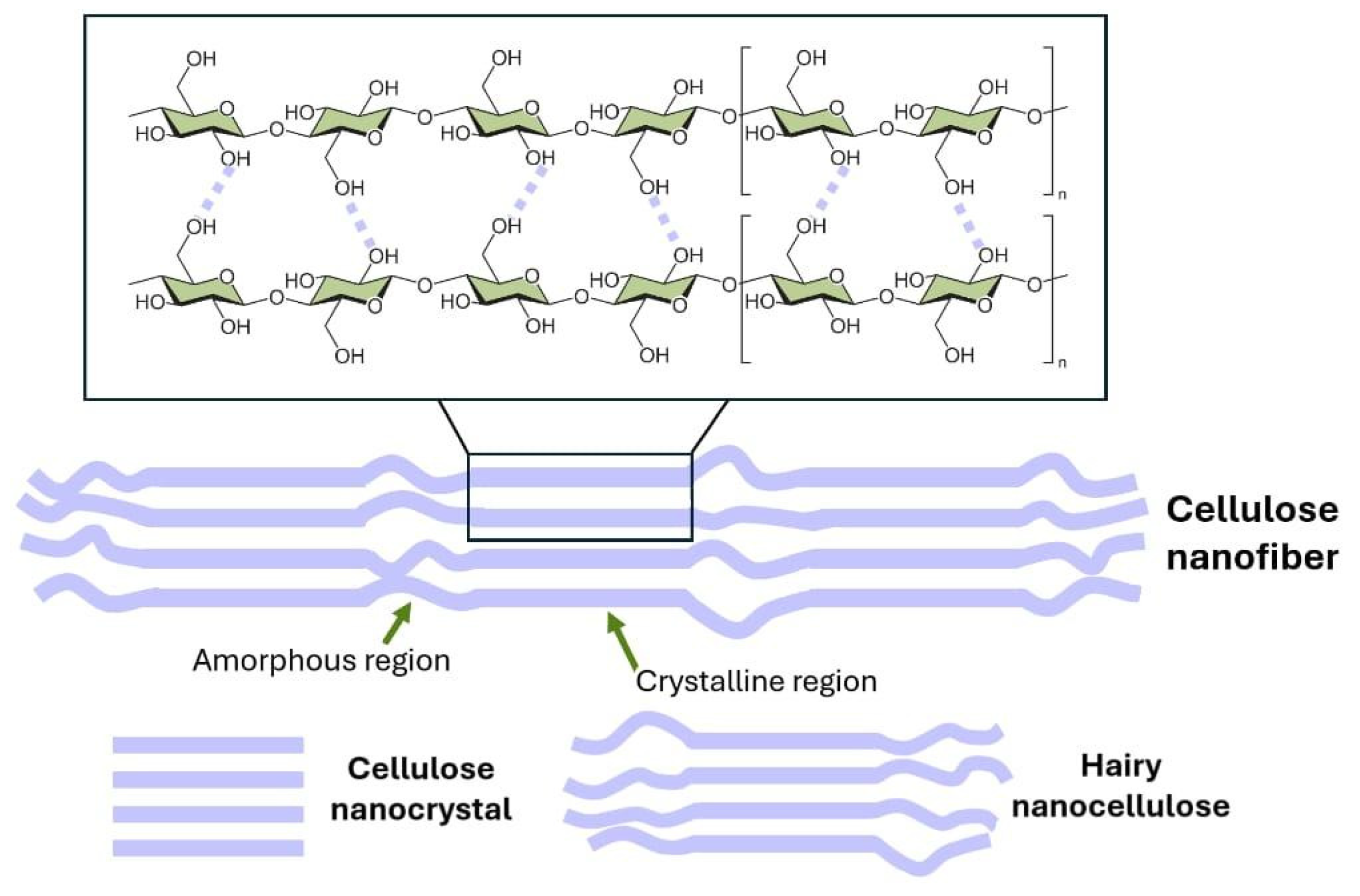 Polymers 17 00164 g004