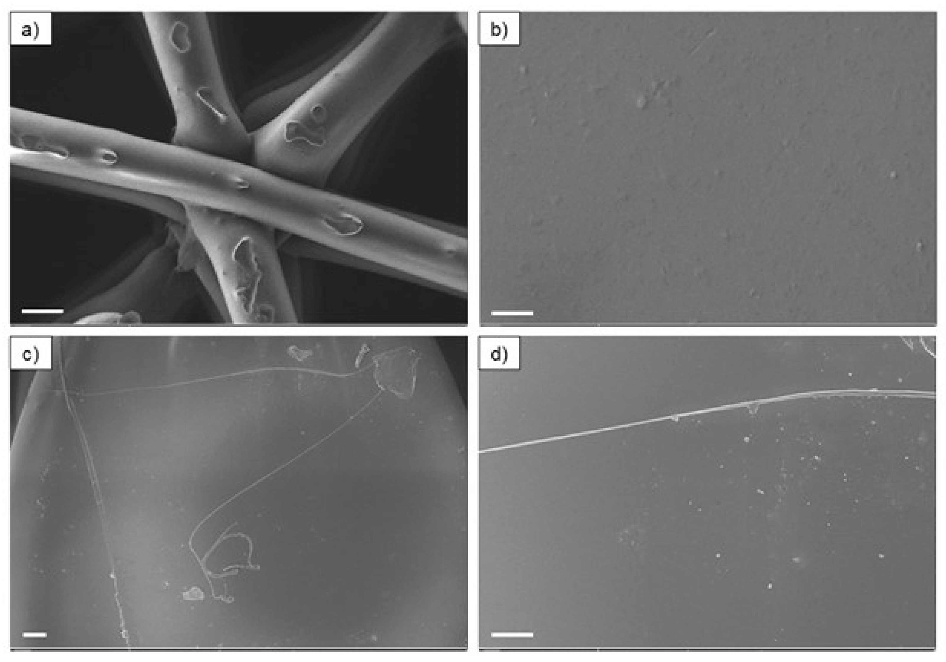 Polymers 17 00171 g008