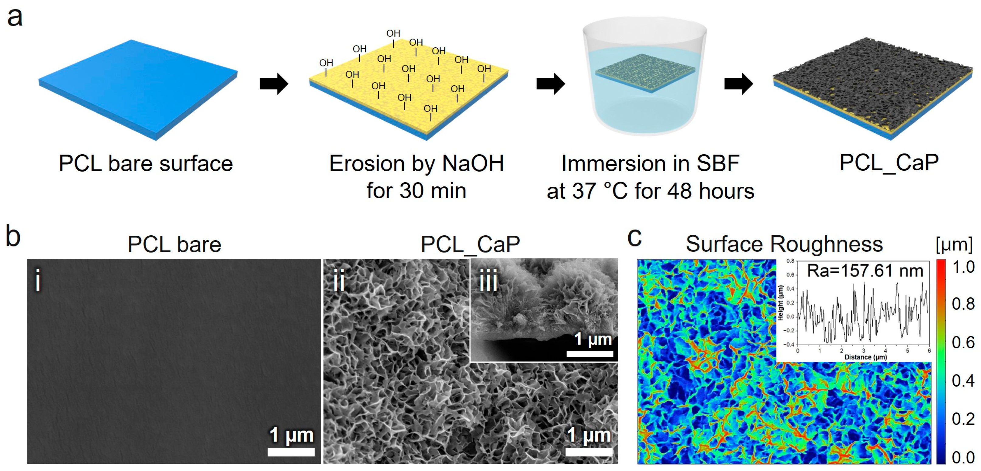 Polymers 17 00200 g001