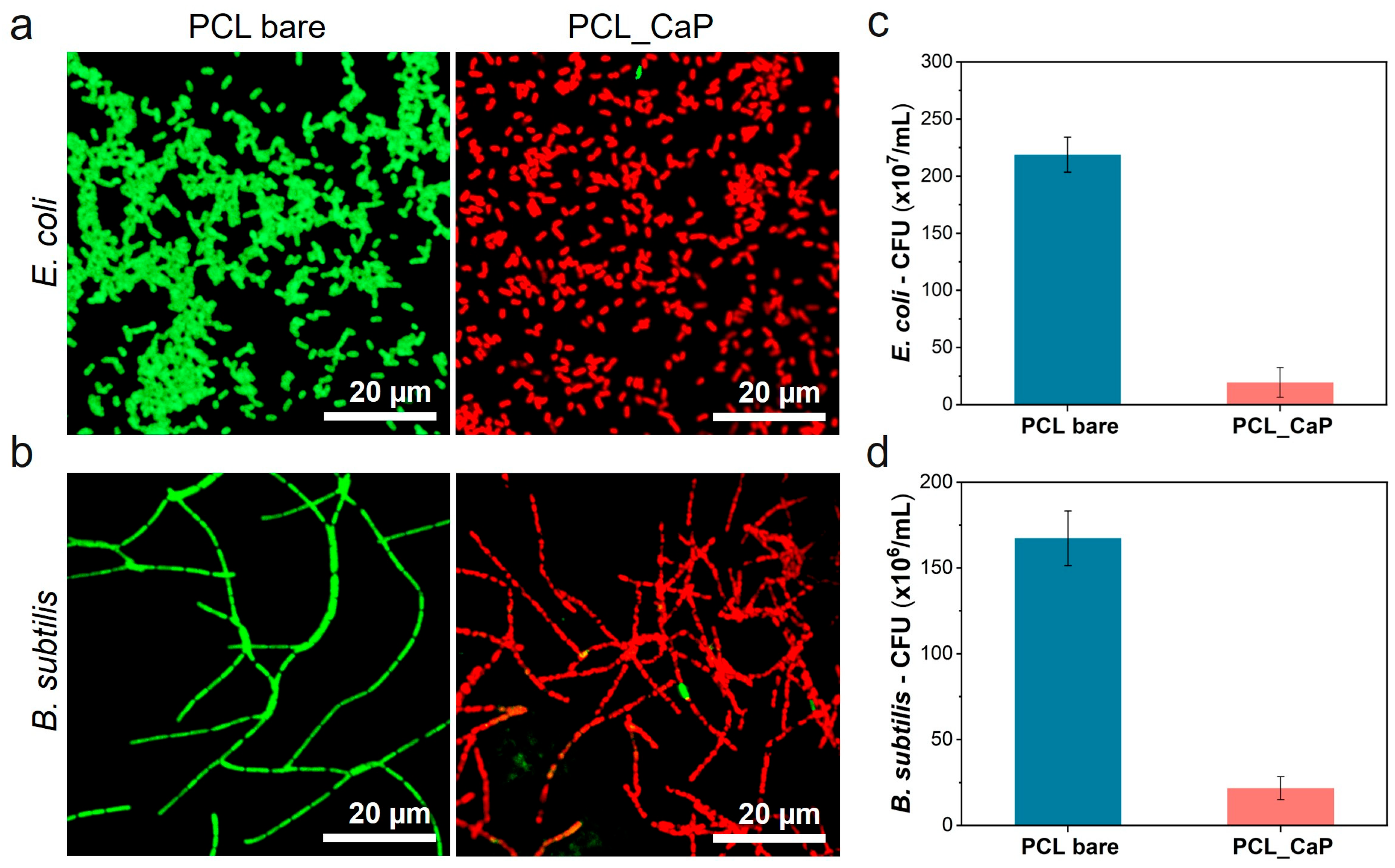 Polymers 17 00200 g003