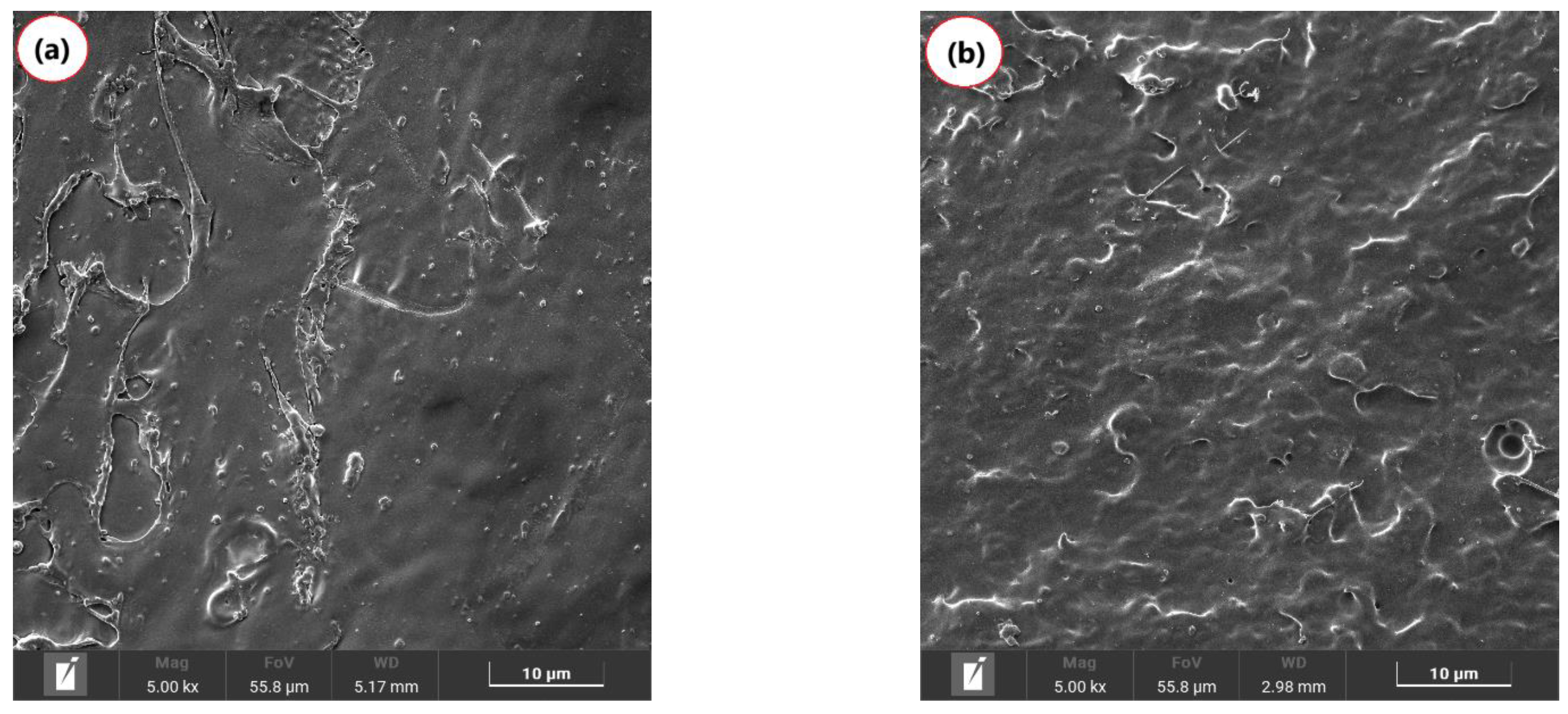 Polymers 17 00246 g005