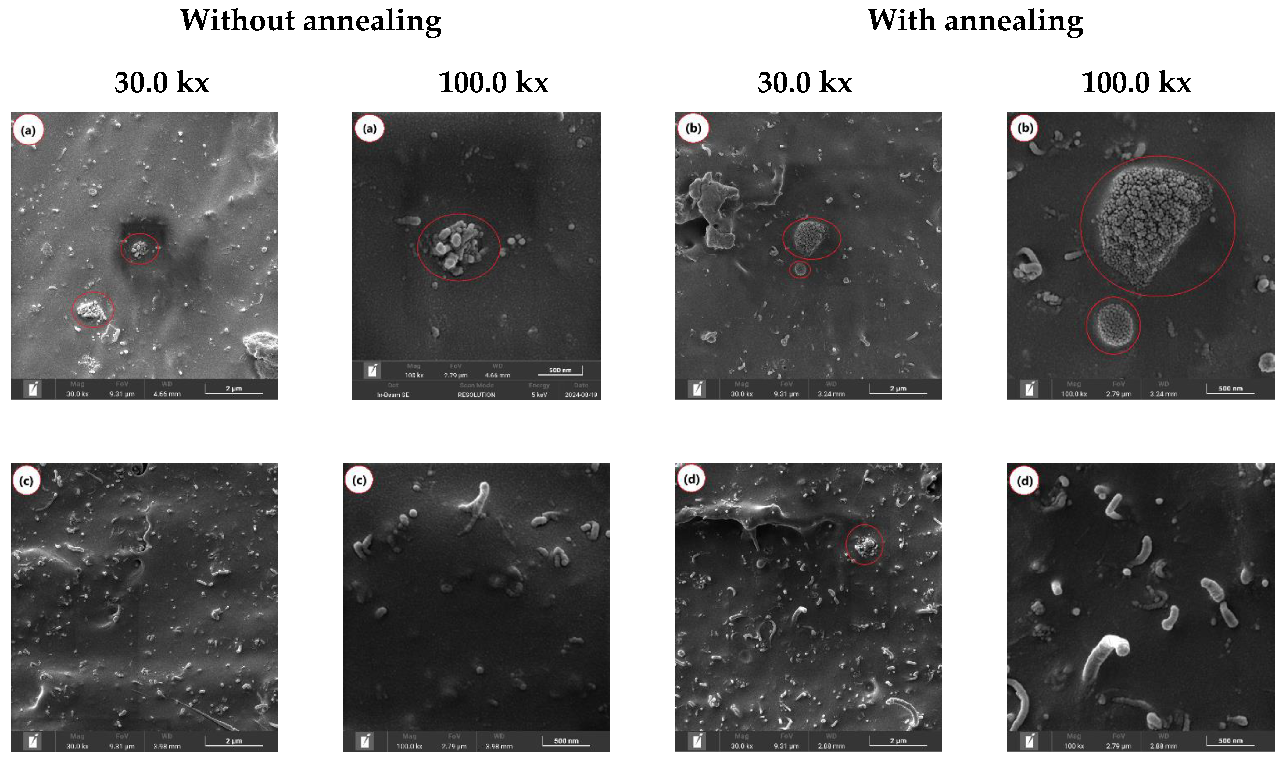 Polymers 17 00246 g006a