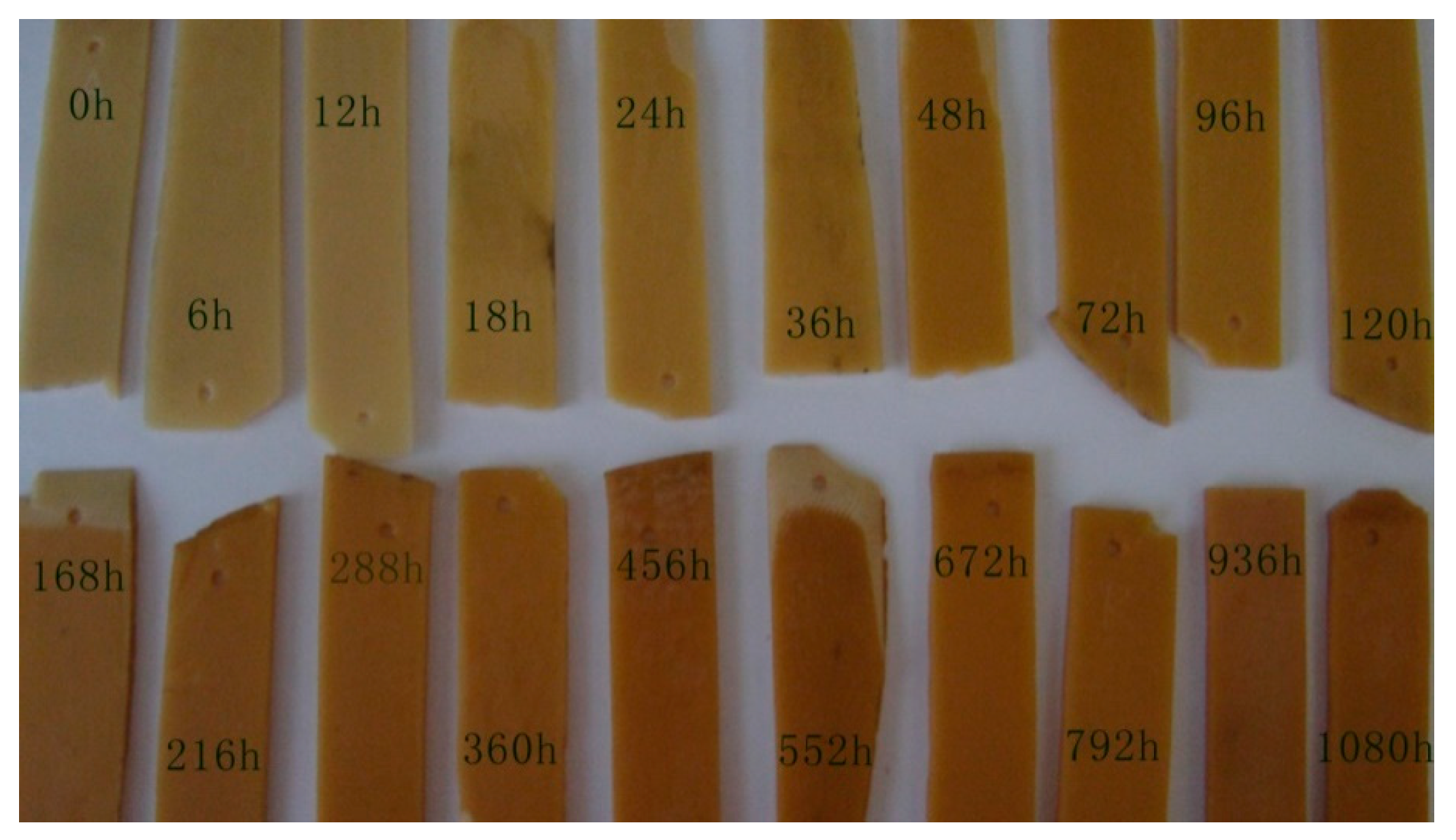 Polymers 17 00294 g005
