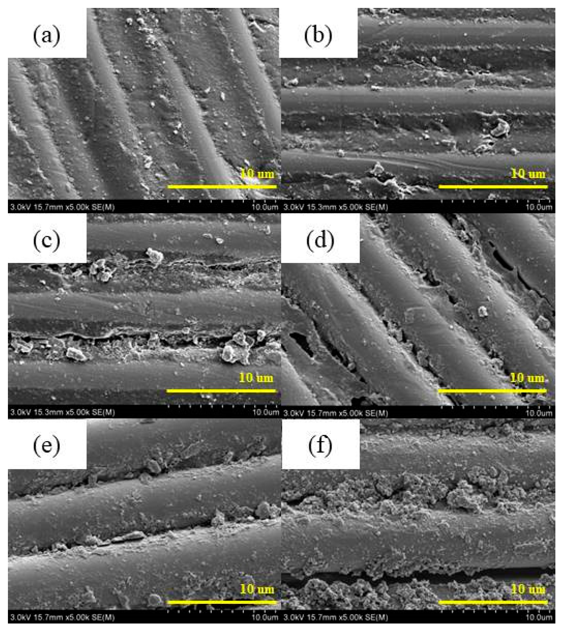 Polymers 17 00294 g013