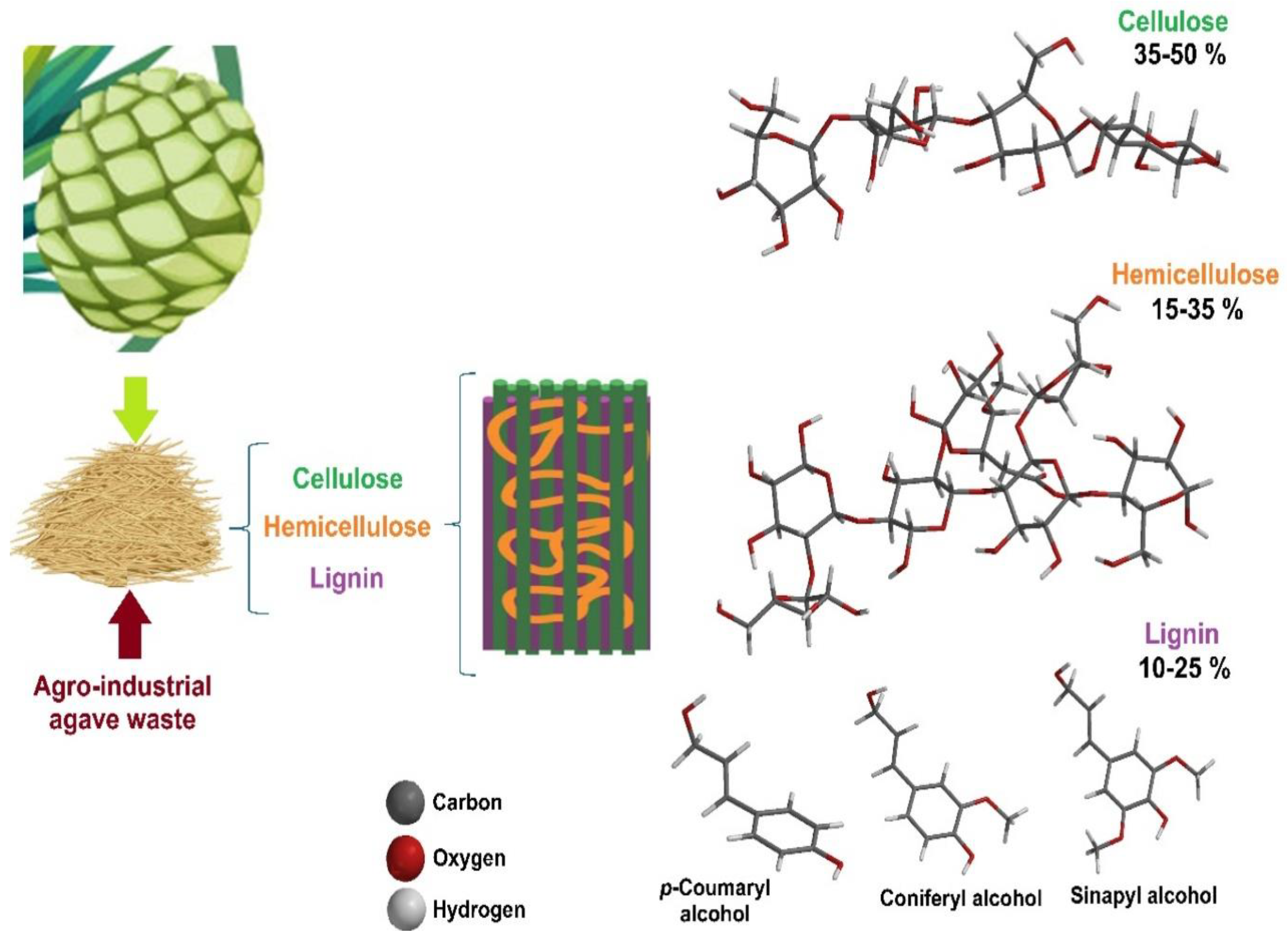 Polymers 17 00322 g006