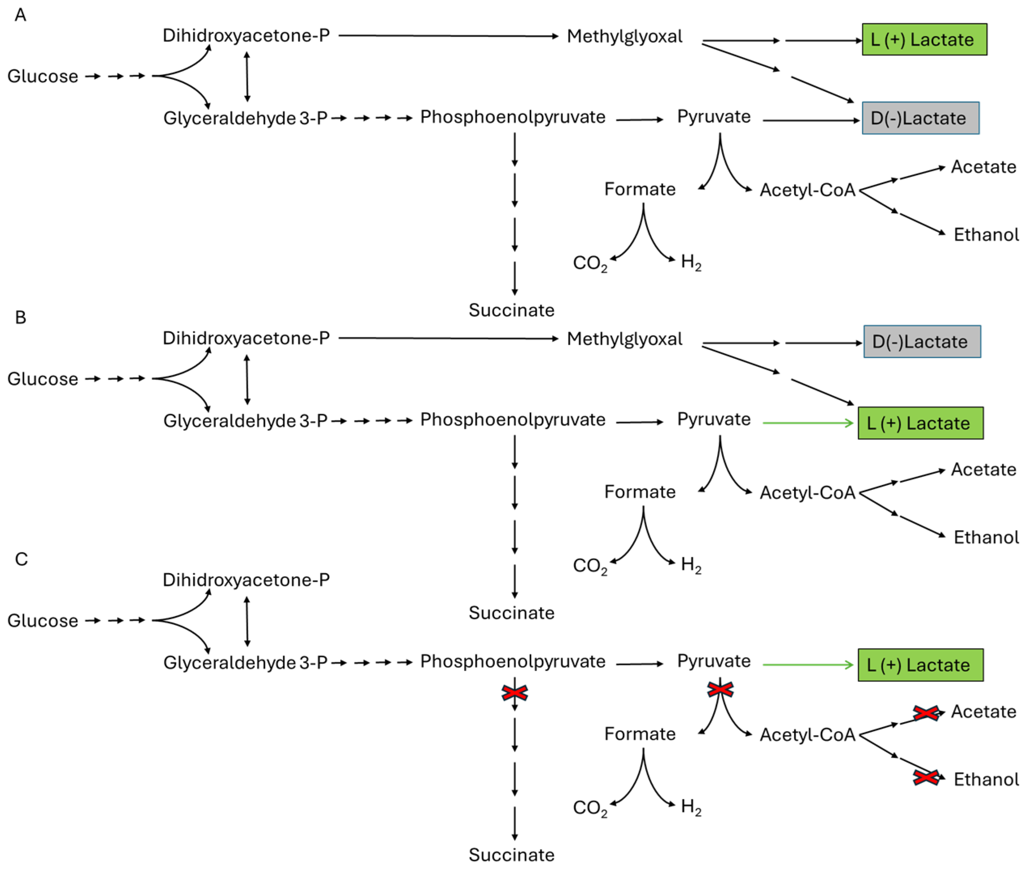 Polymers 17 00322 g007