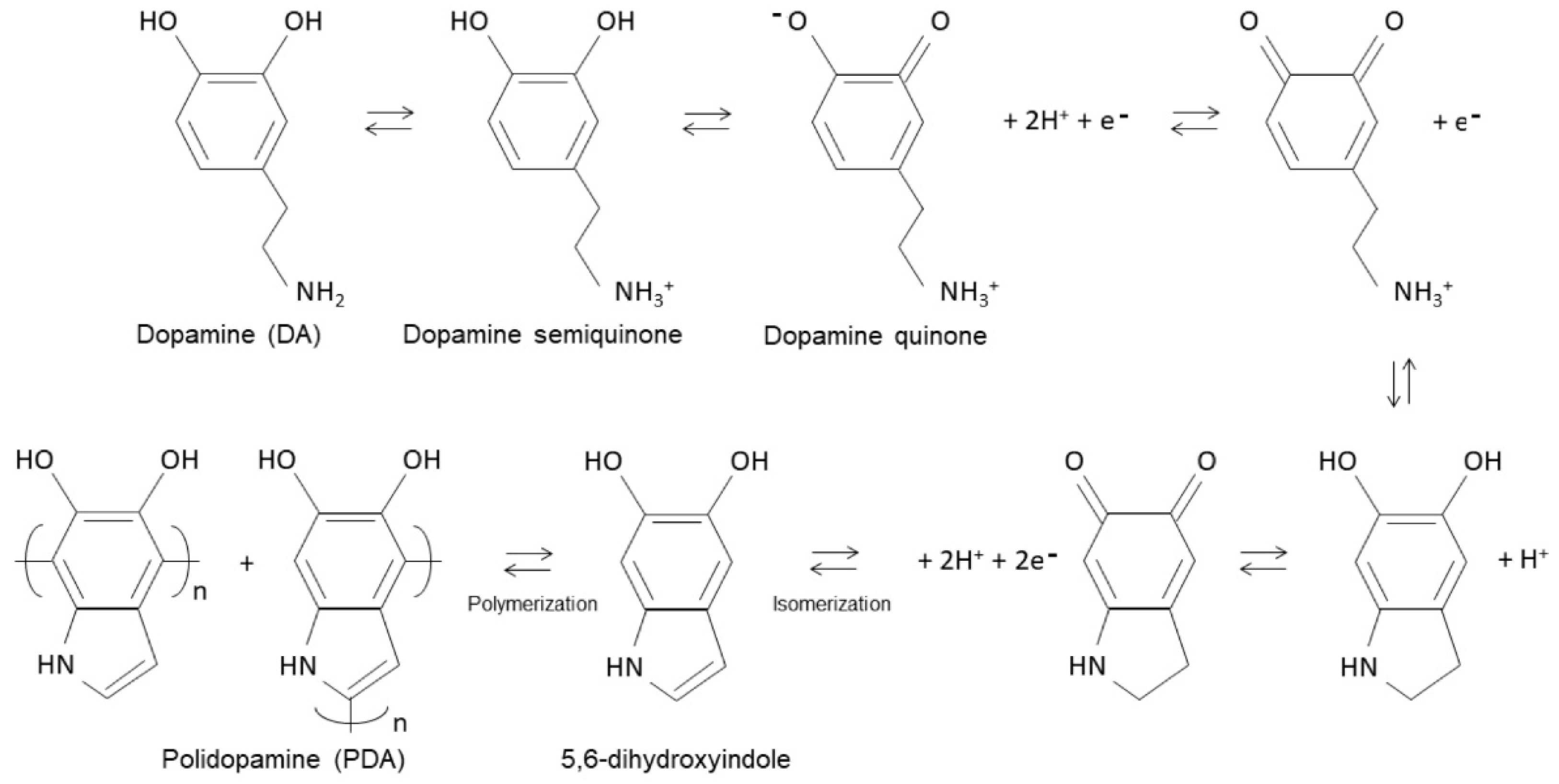 Polymers 17 00345 g002