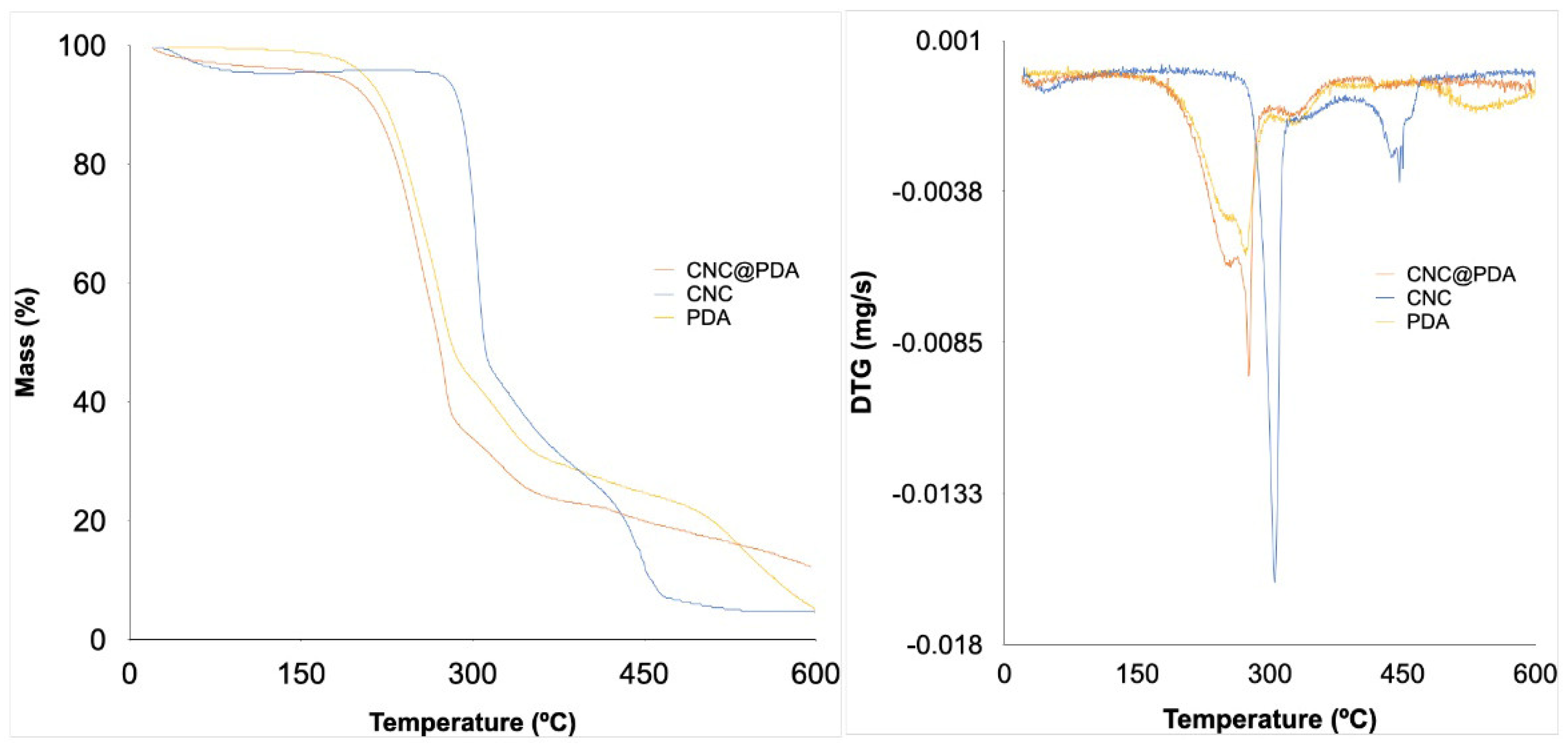 Polymers 17 00345 g004
