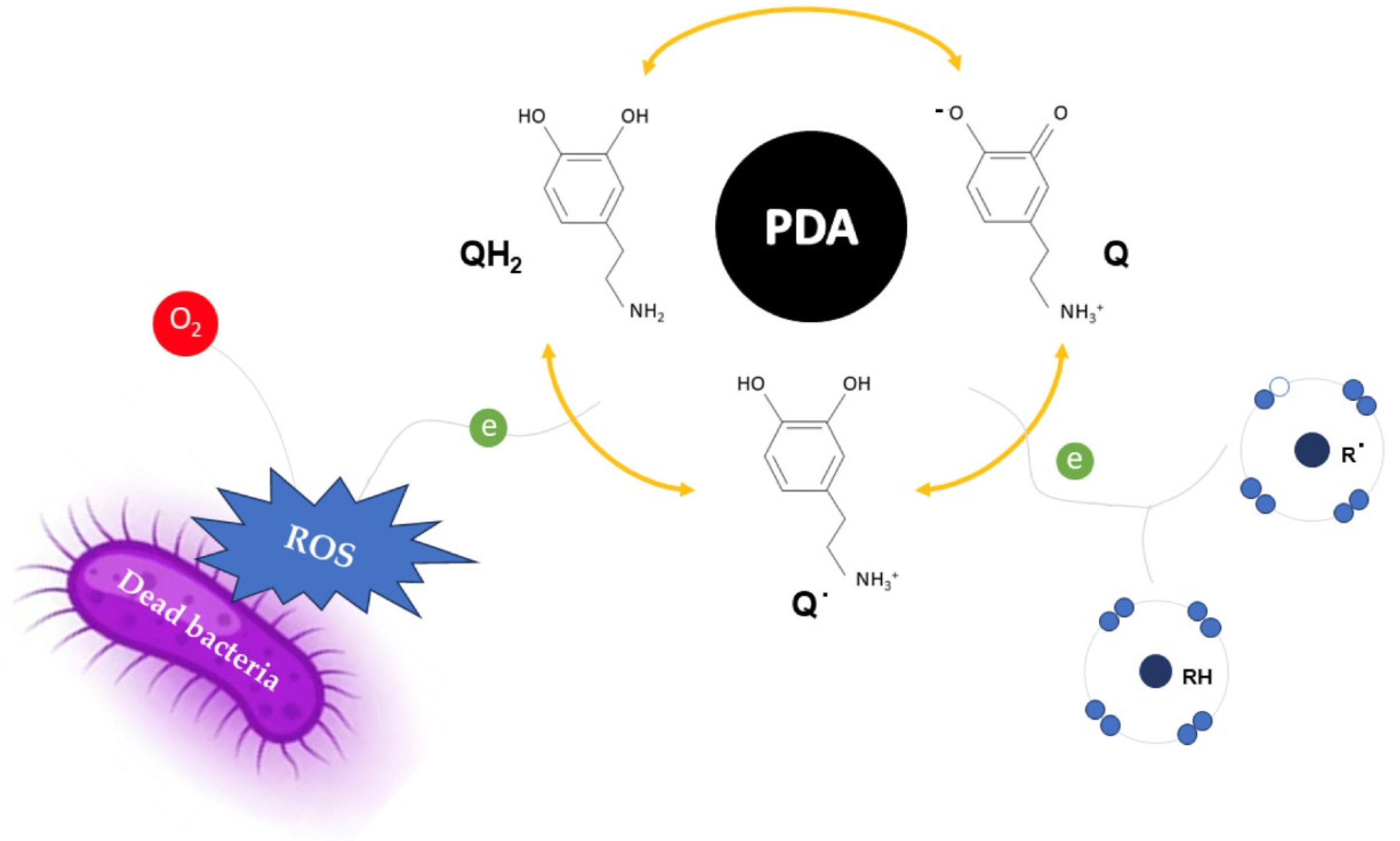 Polymers 17 00345 g006