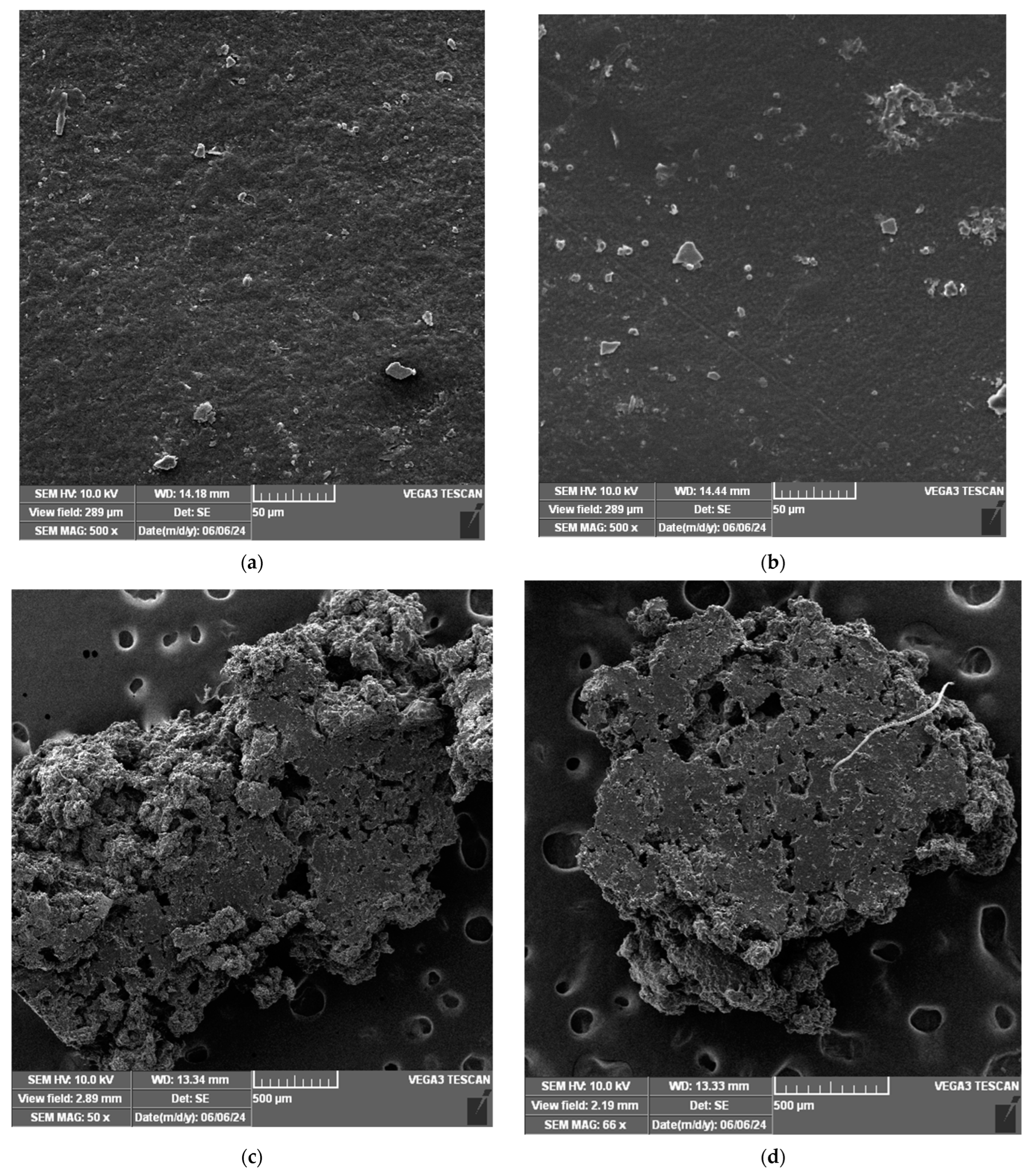 Polymers 17 00356 g007